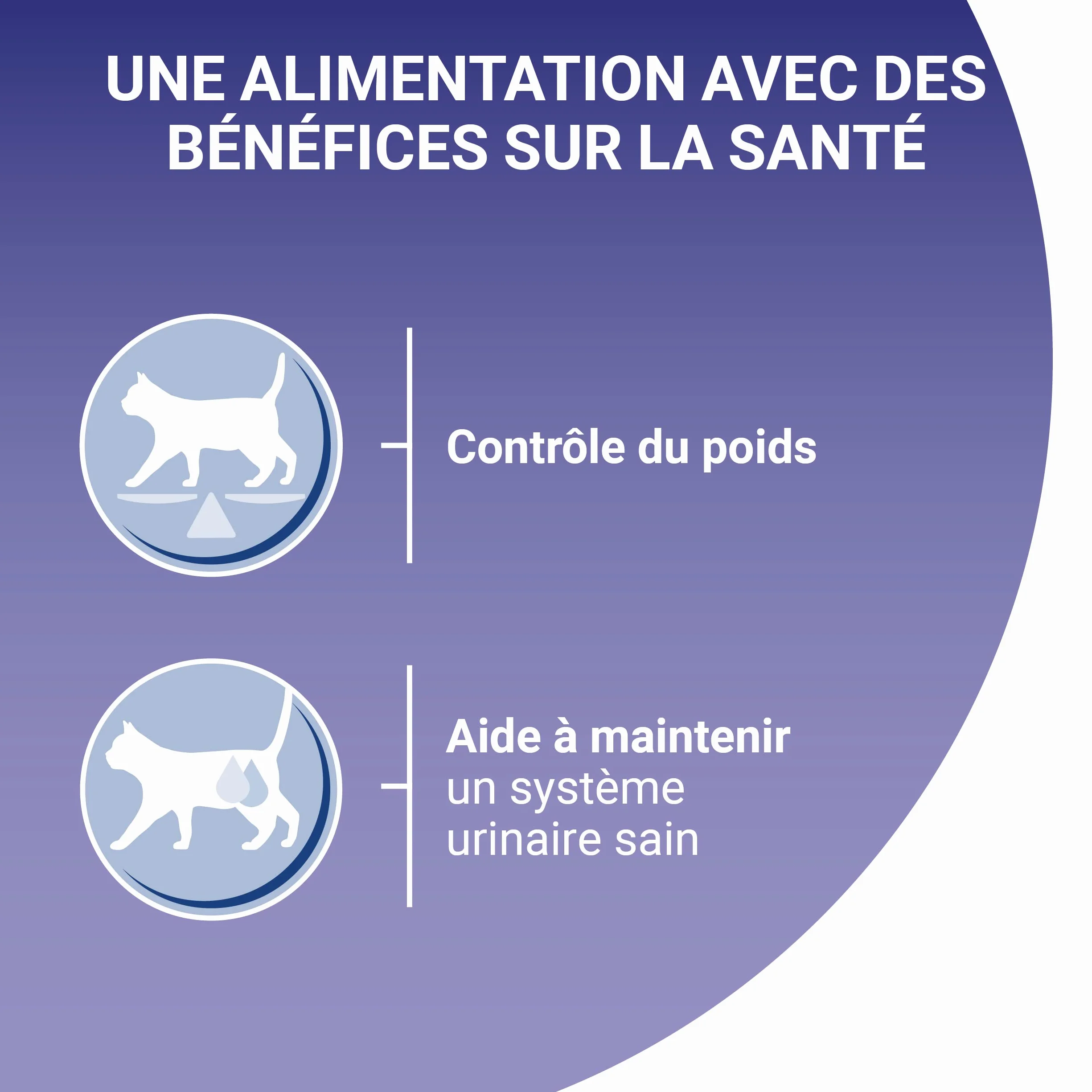 PURINA ONE BIFENSIS Chat Adulte Stérilisé Sachets Fraîcheur Poulet Bœuf Saumon Dinde Lot de 10 (8 x 85g)
