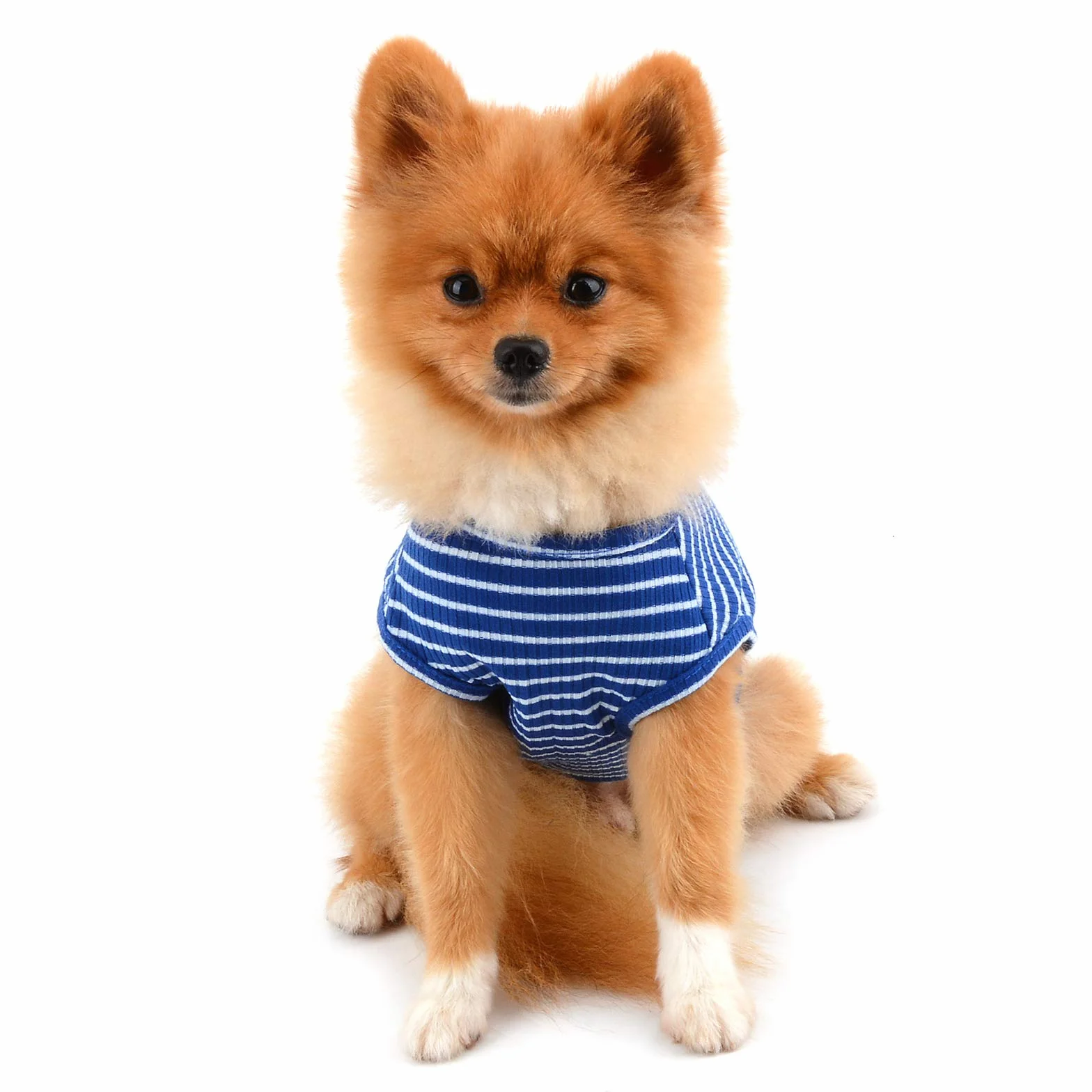 PAIDEFUL Vêtements pour Petits Chiens Garçon Fille été rayé Chiot t-Shirt Gilet Respirant Coton sans Manches Chihuahua Yorkshire Bleu M