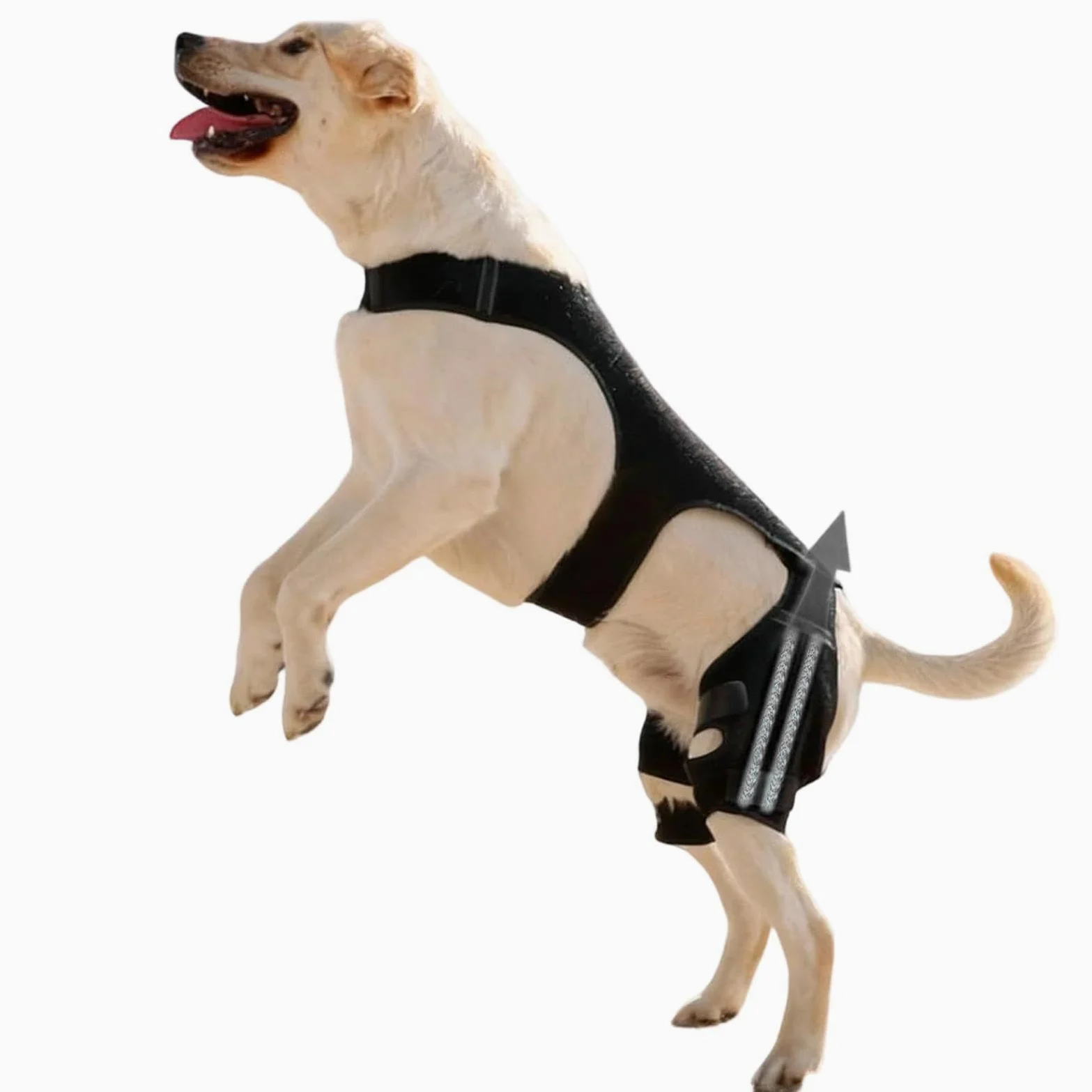Genouillère Pour Chien Bandage Articulaire Réglable | Avec 4 Stabilisateurs Métalliques Support Pour Patte Arrière Pour Randonnée Exercice Activités Extérieures Parc Plage