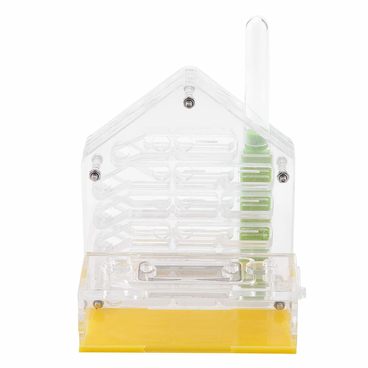 Formicarium Nourriture pour Fourmis 12×11×8 Acrylic Farm The Farm is Alive