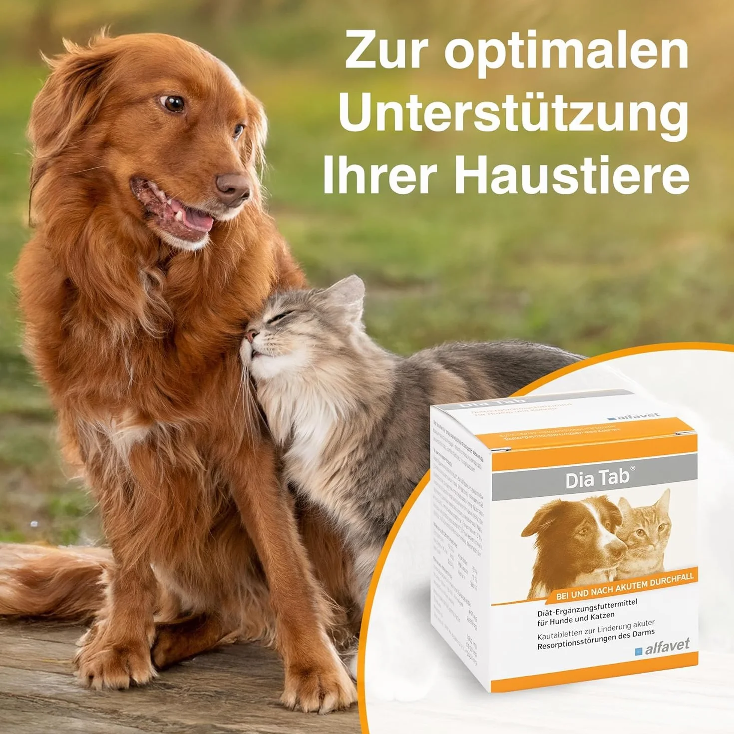 alfavet Dia Tab complément alimentaire diététique pour chiens et chats comprimés à mâcher diarrhée vomissements 6 x 5,5 g