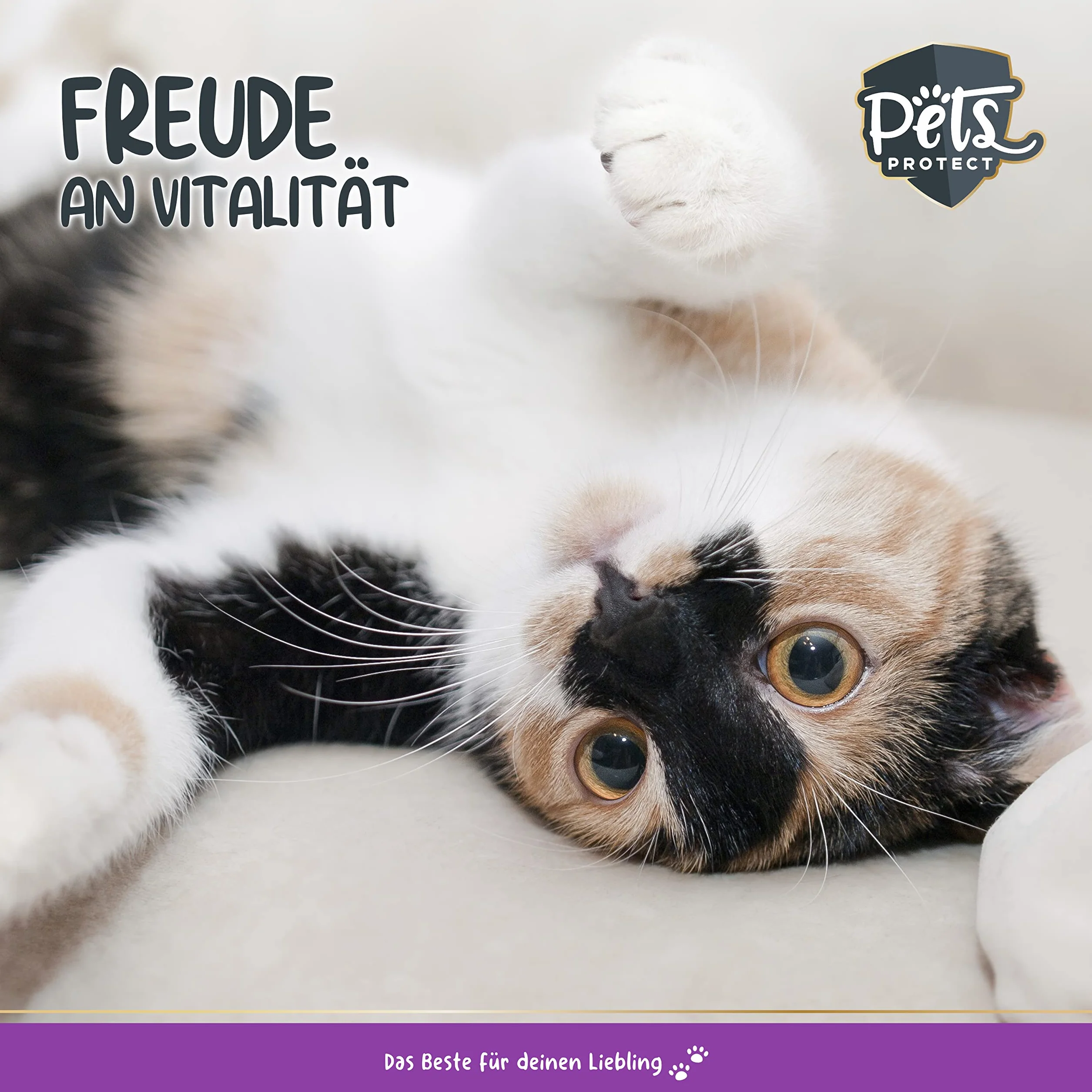 Pets PROTECT Lysine 100% Pur Poudre 150 g pour Chats & Chiens Contre Le Coryza du Chat