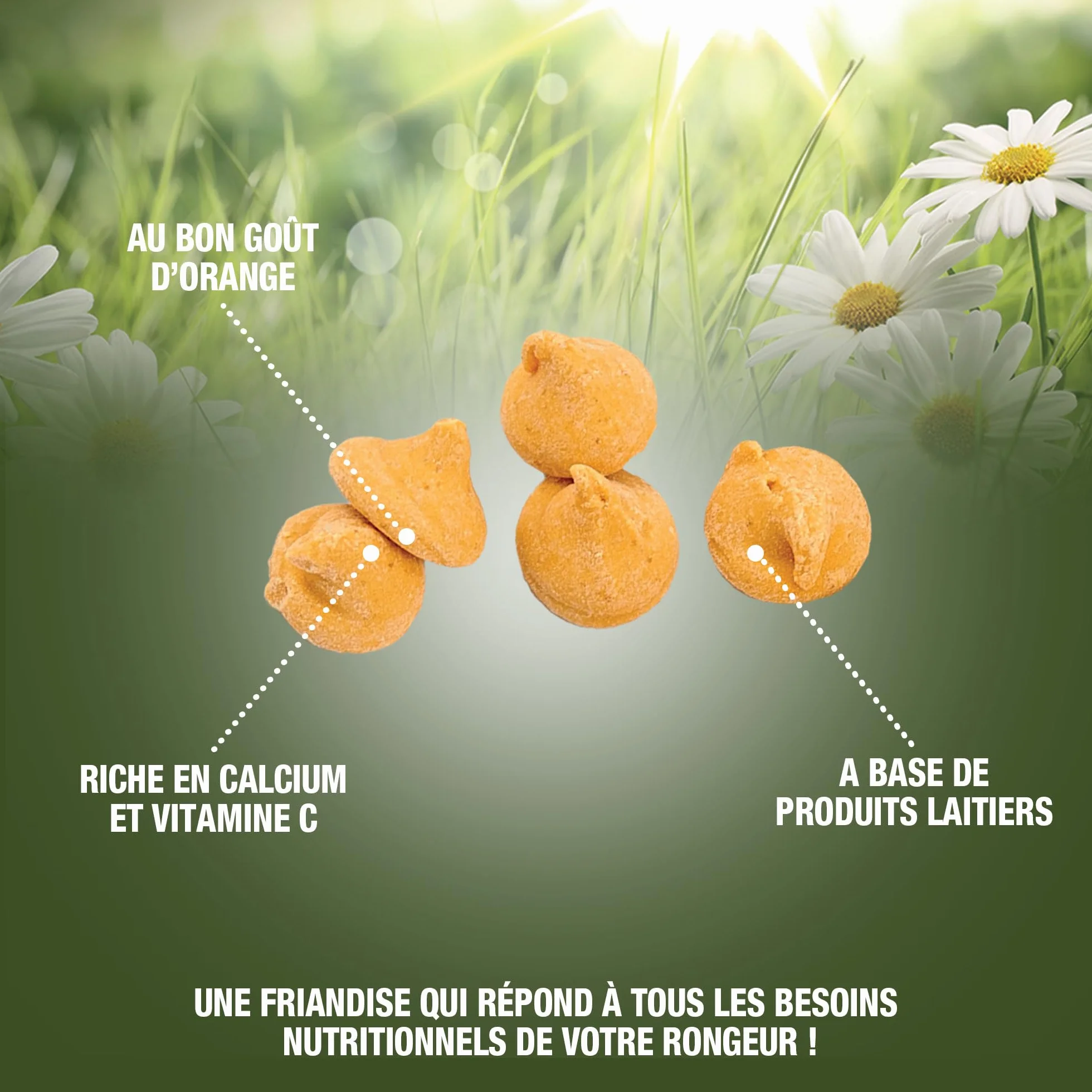 Rondly à l'Orange Friandise Complémentaire pour Rongeur 125 g