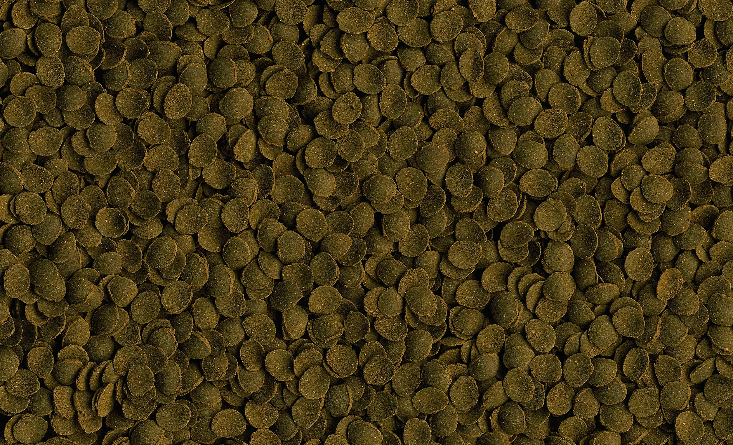 Tetra Plaffes Pleco 100 ML