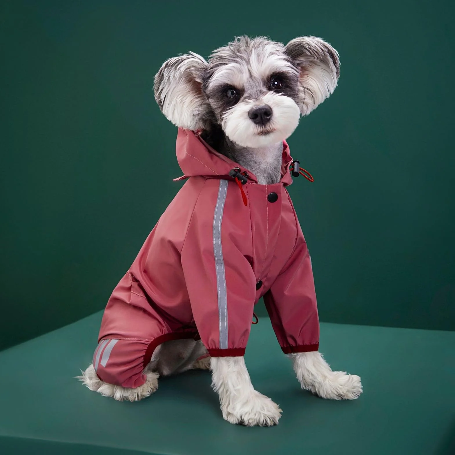 Manteau de pluie imperméable réfléchissant pour chien avec bandes réfléchissantes à quatre pattes