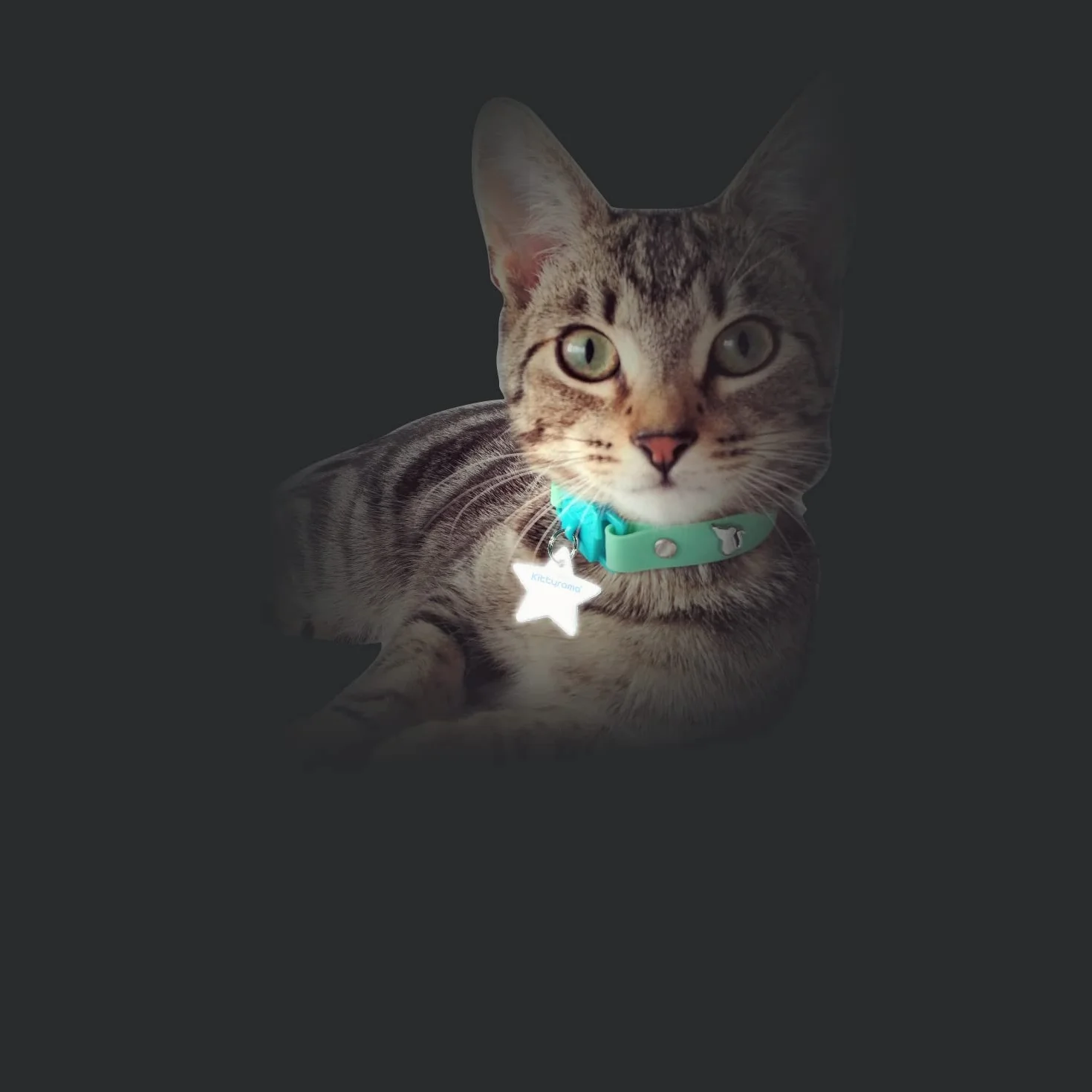 Kittyrama Médaille de Chat Réfléchissante Nuage Haute Visibilité Imperméable Léger