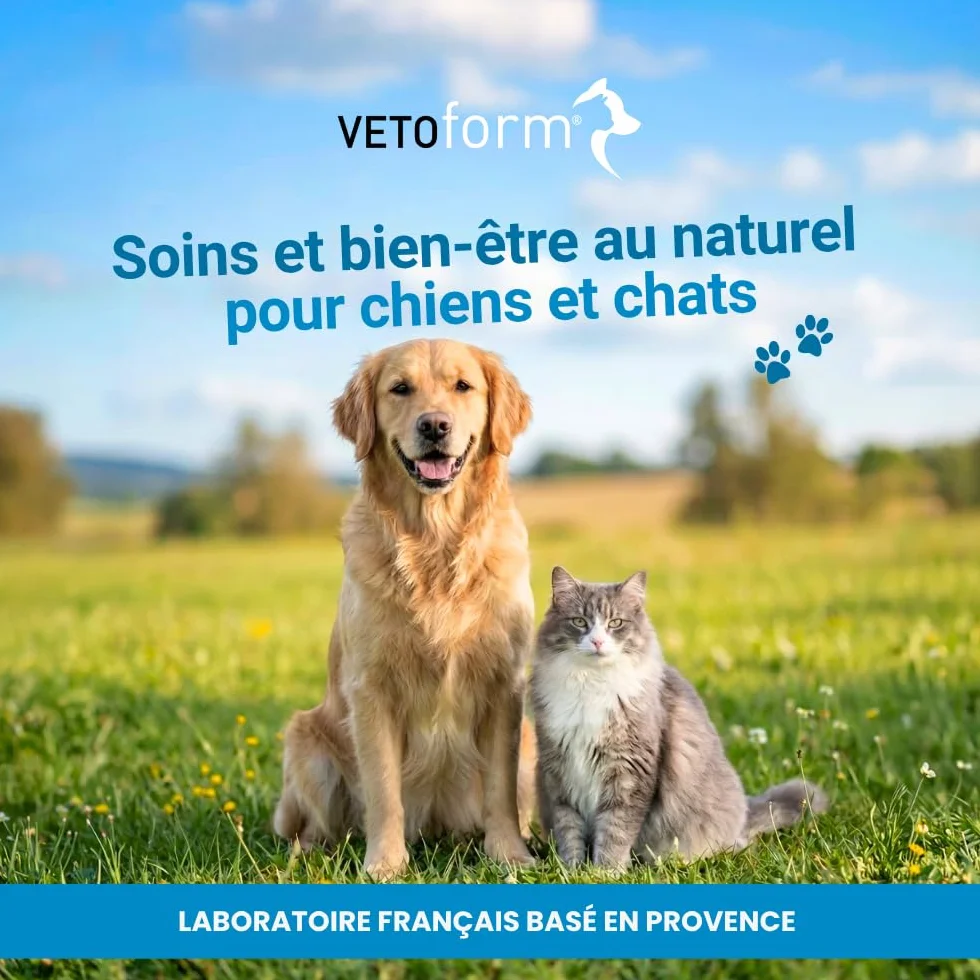 VETOFORM Pipette Antiparasitaire Petit mammiphère 1kg Lapin Cochon d'Inde Hamster NAC antipuces Anti-tiques 3x0,6 ML Fabriqué en France