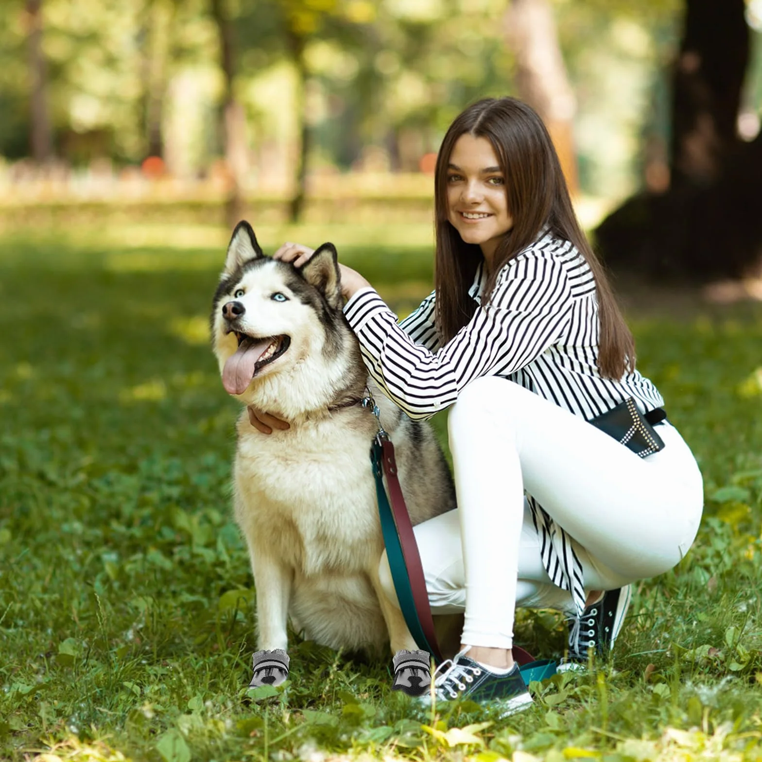 Bottes Imperméables pour Chien Ajustables avec Bandes Réfléchissantes - Protection des Pattes
