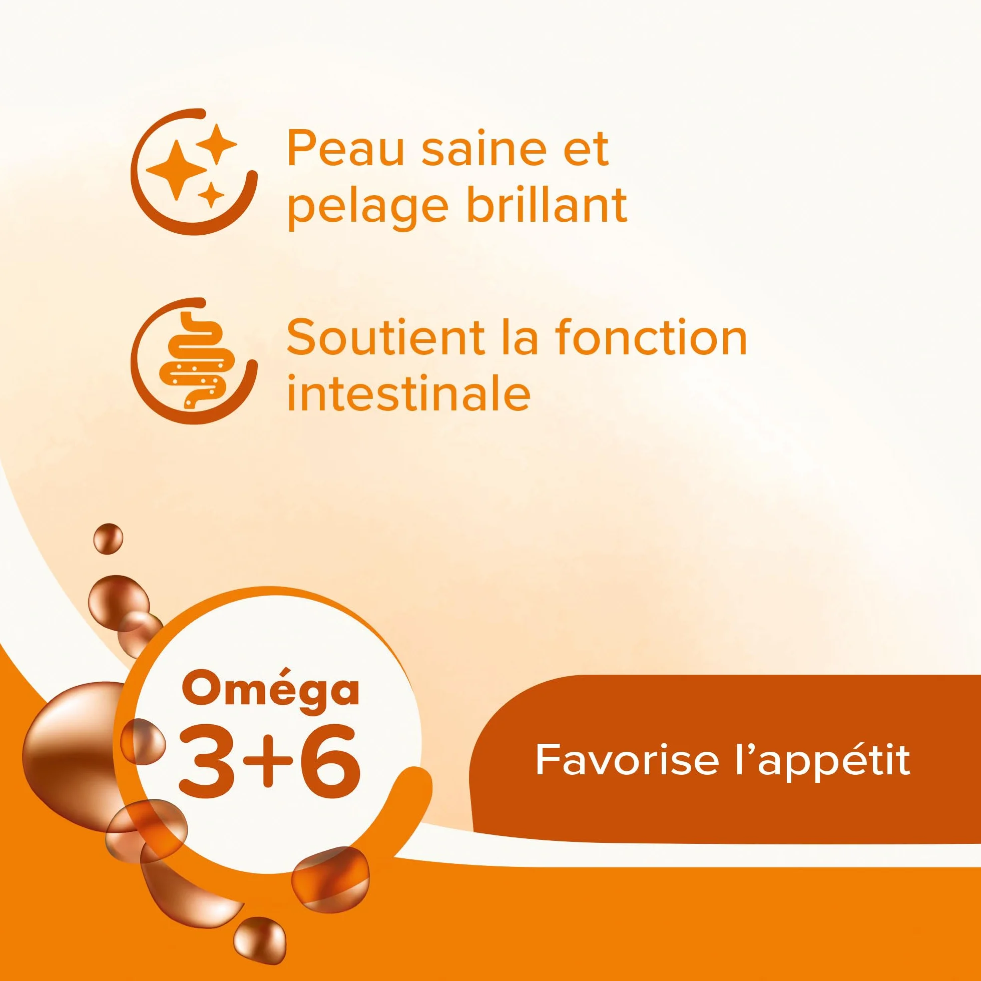 BEAPHAR Graisse de Mouton pour Chien Aliment Complémentaire Omégas 3 et 6 430 ML