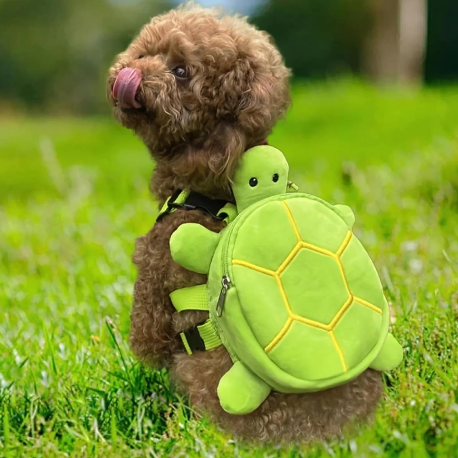 Sac à Dos pour Chien Harnais Tortue Extérieur Vert