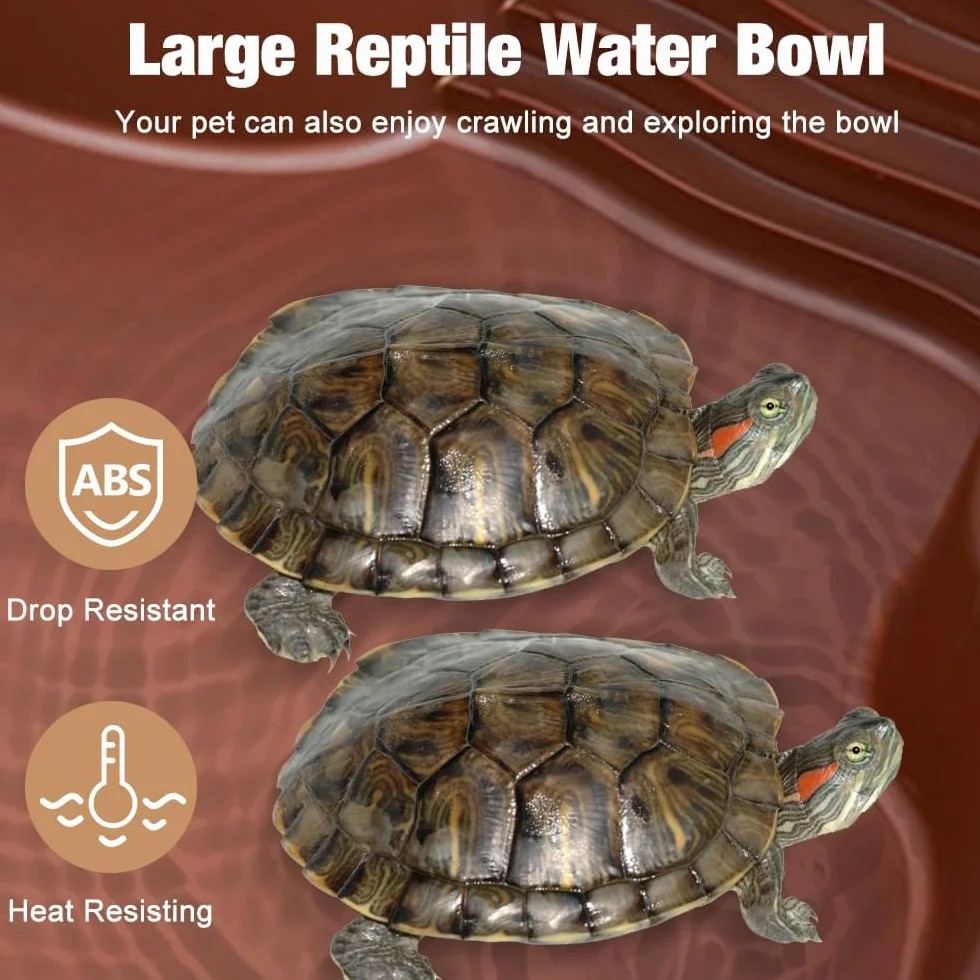 Bassin pour Reptiles, Bol d'Eau pour Tortue, Bol d'Eau et Nourriture pour Reptiles, Bassin de Bain pour Reptiles