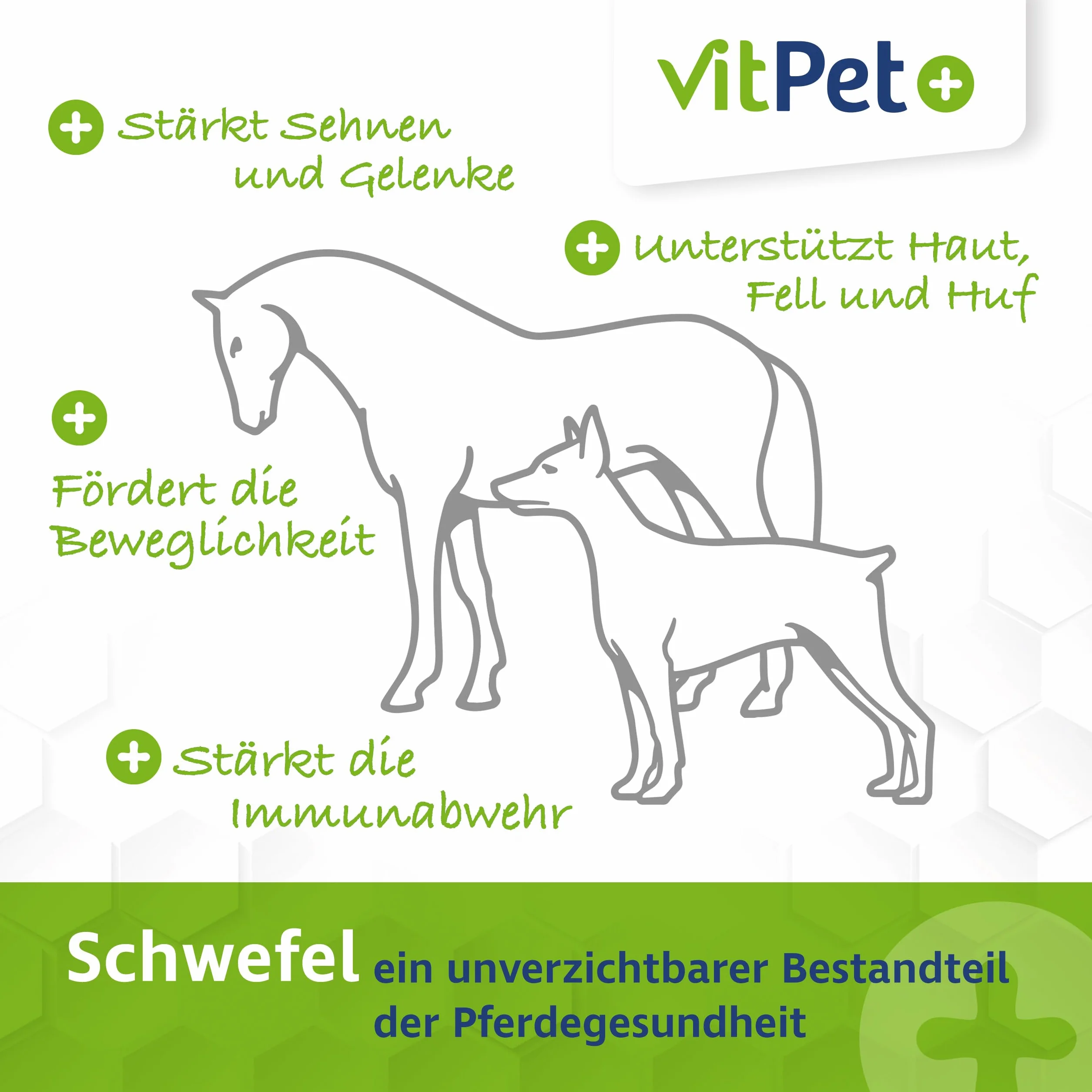 MSM Cheval – Premium MSM Poudre pour chevaux dans un seau de 1,8 kg avec cuillère doseuse (méthylsulfonylméthane / poudre de soufre pour chevaux et chiens)