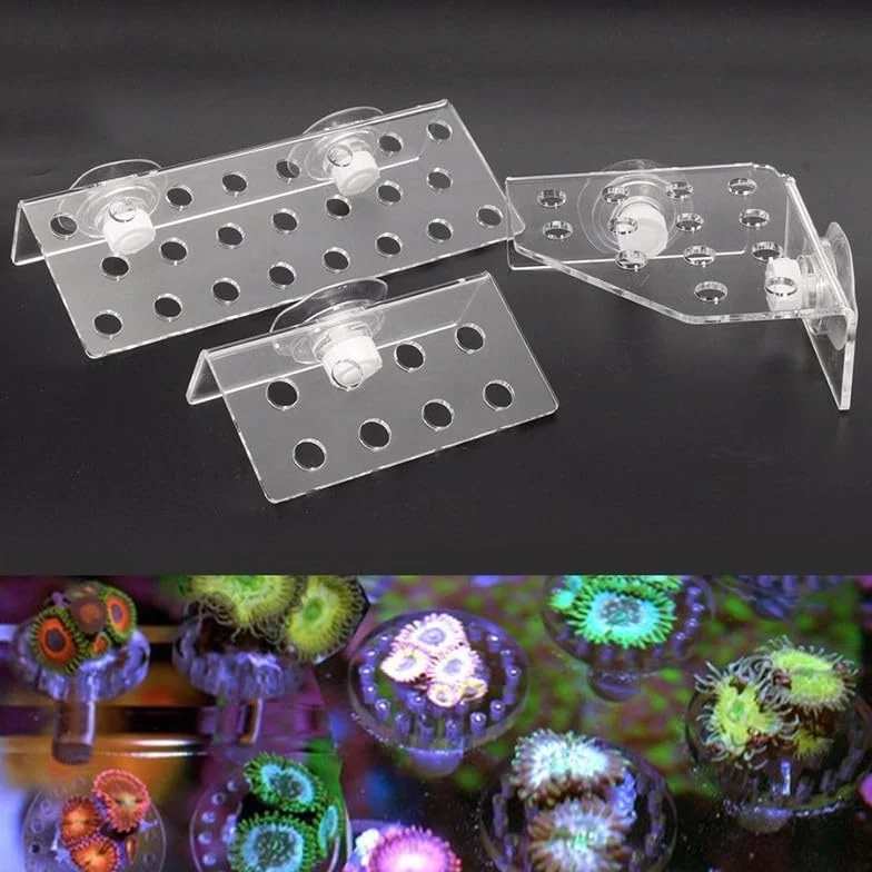 Kit support aquarium marin coraux vivants CRB-8