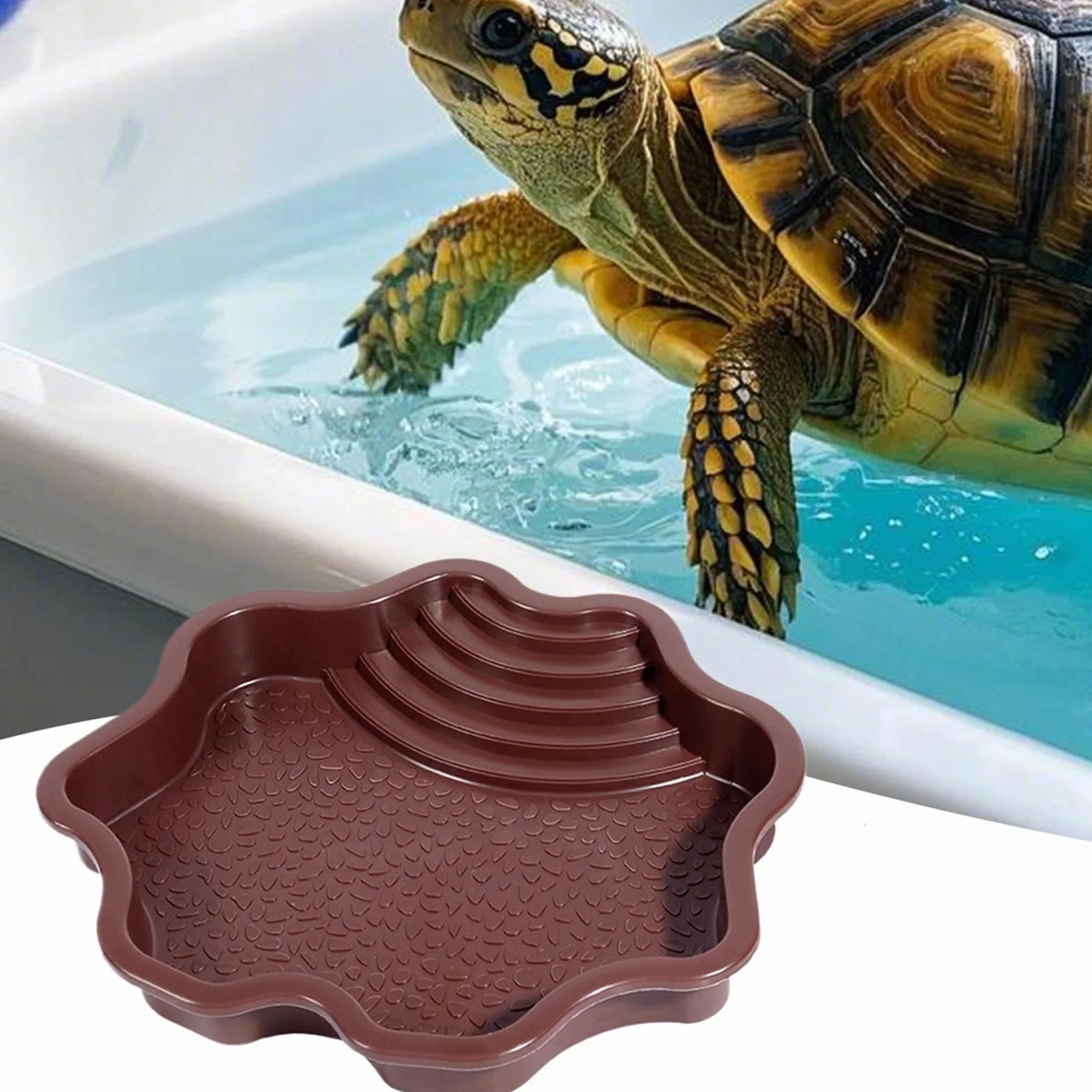 Plat à tremper pour reptiles, bol d'eau et nourriture avec marches pour tortue de piscine