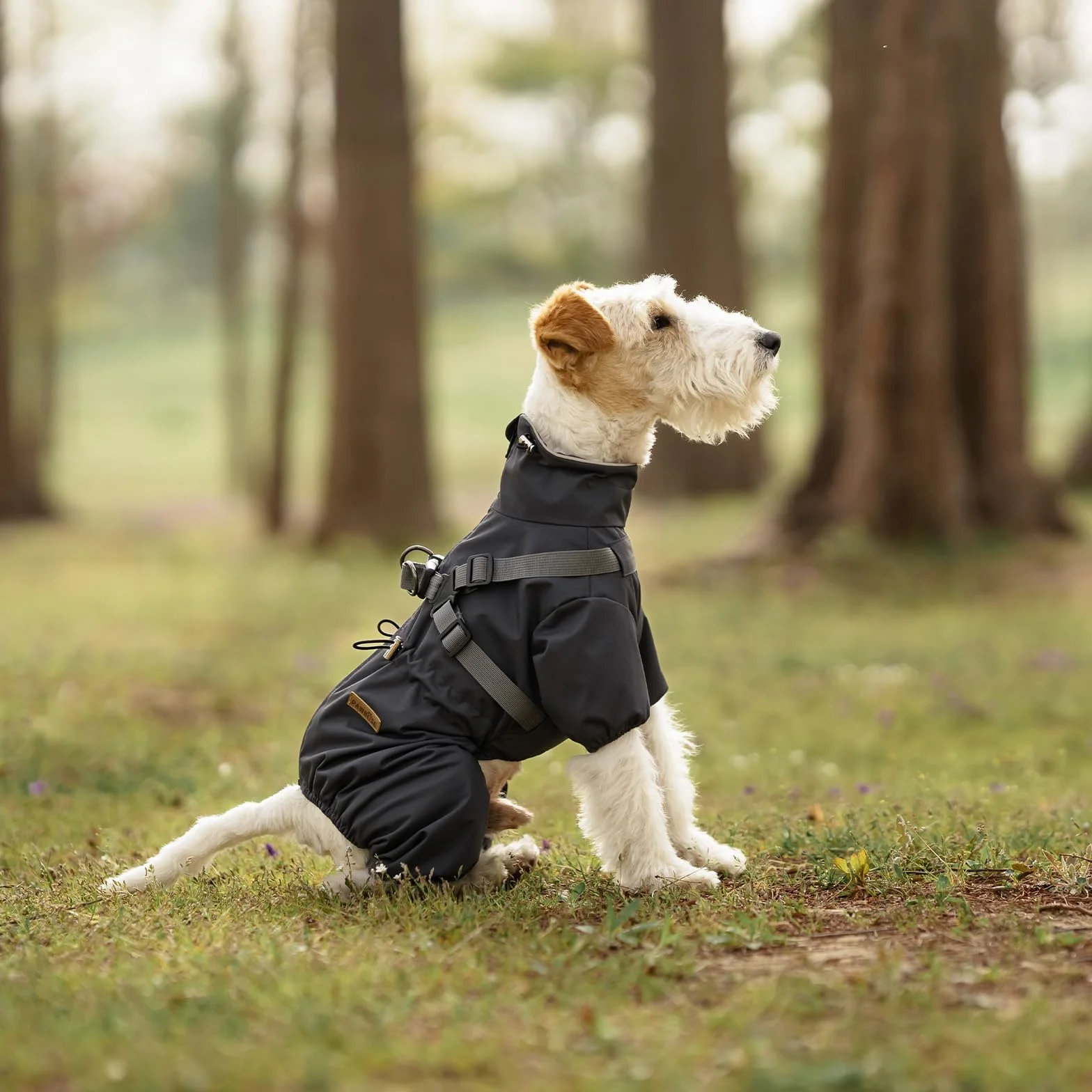 PAWBOSE Imperméable Chien Réfléchissant Harnais 4 Jambes Taille M Gris