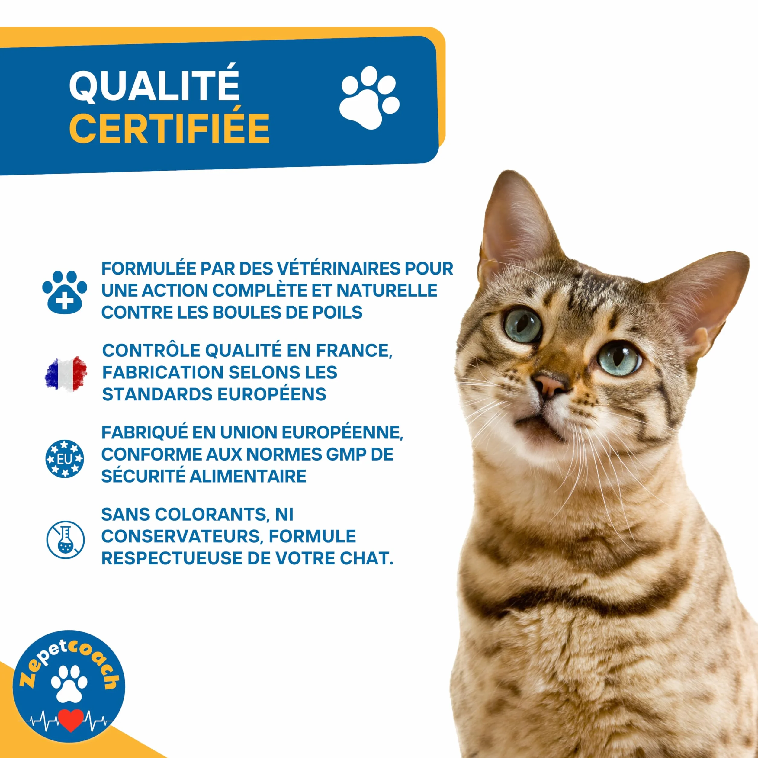 Complément Chat Anti Boules de Poils Psyllium Taurine Chicorée Naturel Saveur Volaille 250g