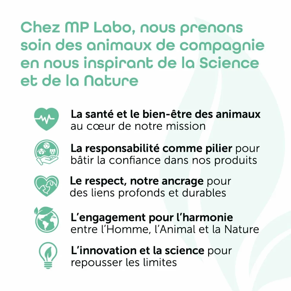 MP Labo Phytobiovet Shampoing sans Rinçage Chien Chat 200 ML Aloe Vera Mauve Ecocert