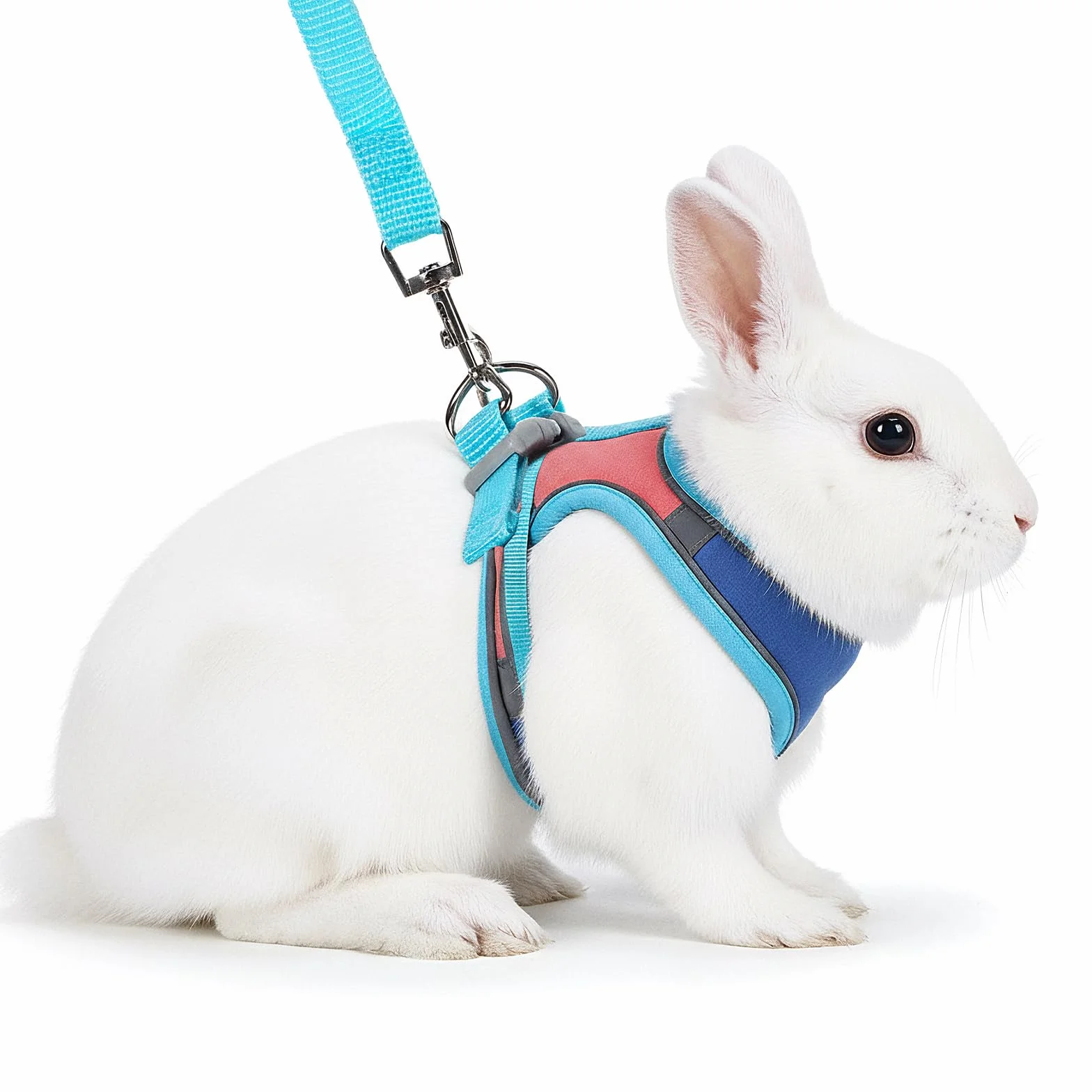 Harnais souple pour lapin avec laisse réglable pour lapin - Accessoires pour chatons - Harnais pour chats et autres petits animaux de compagnie - Bleu, M