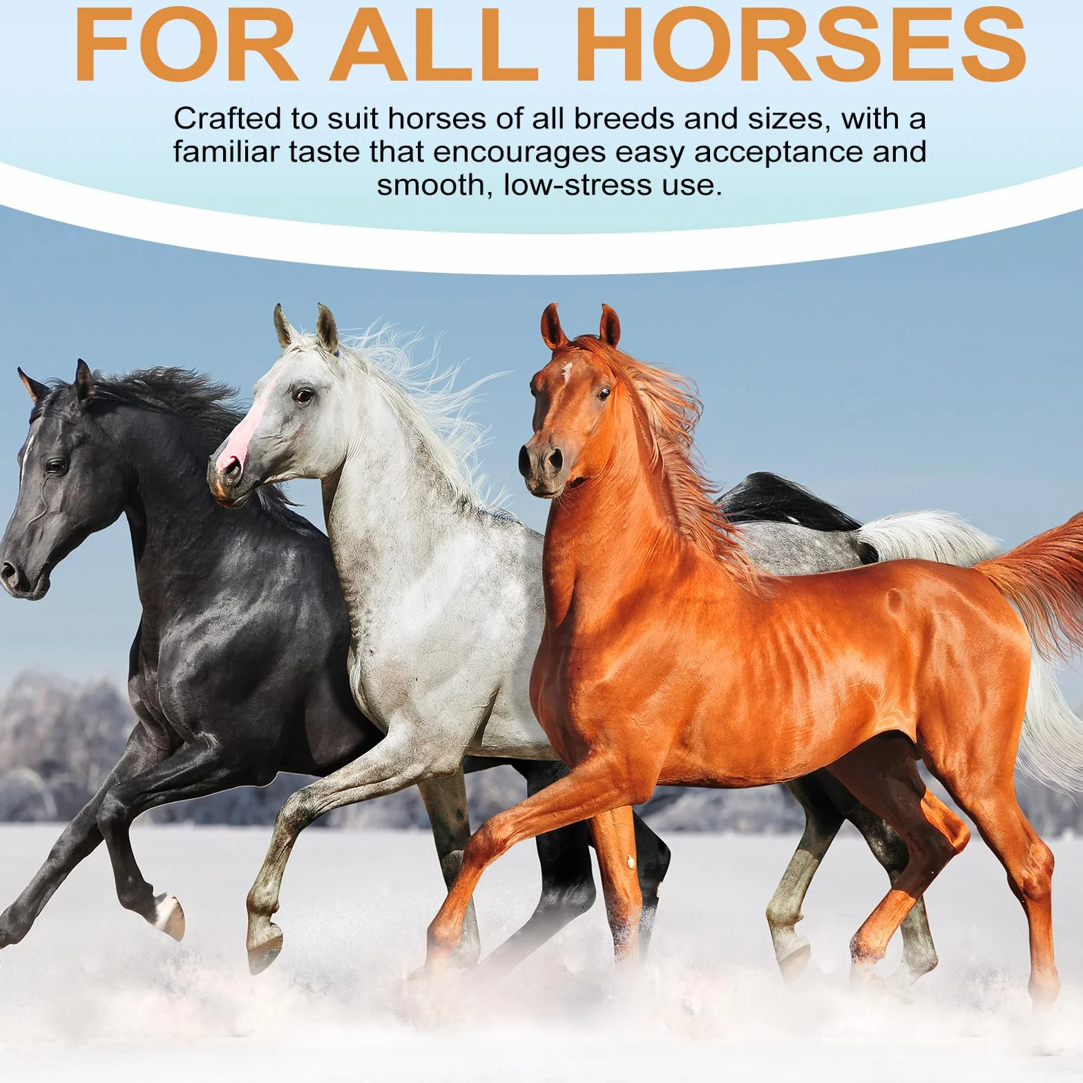 Lot de 6 gels pour chevaux 1,87 % goût pomme pour chevaux jusqu'à 567 kg - Gel simple pour tous les âges