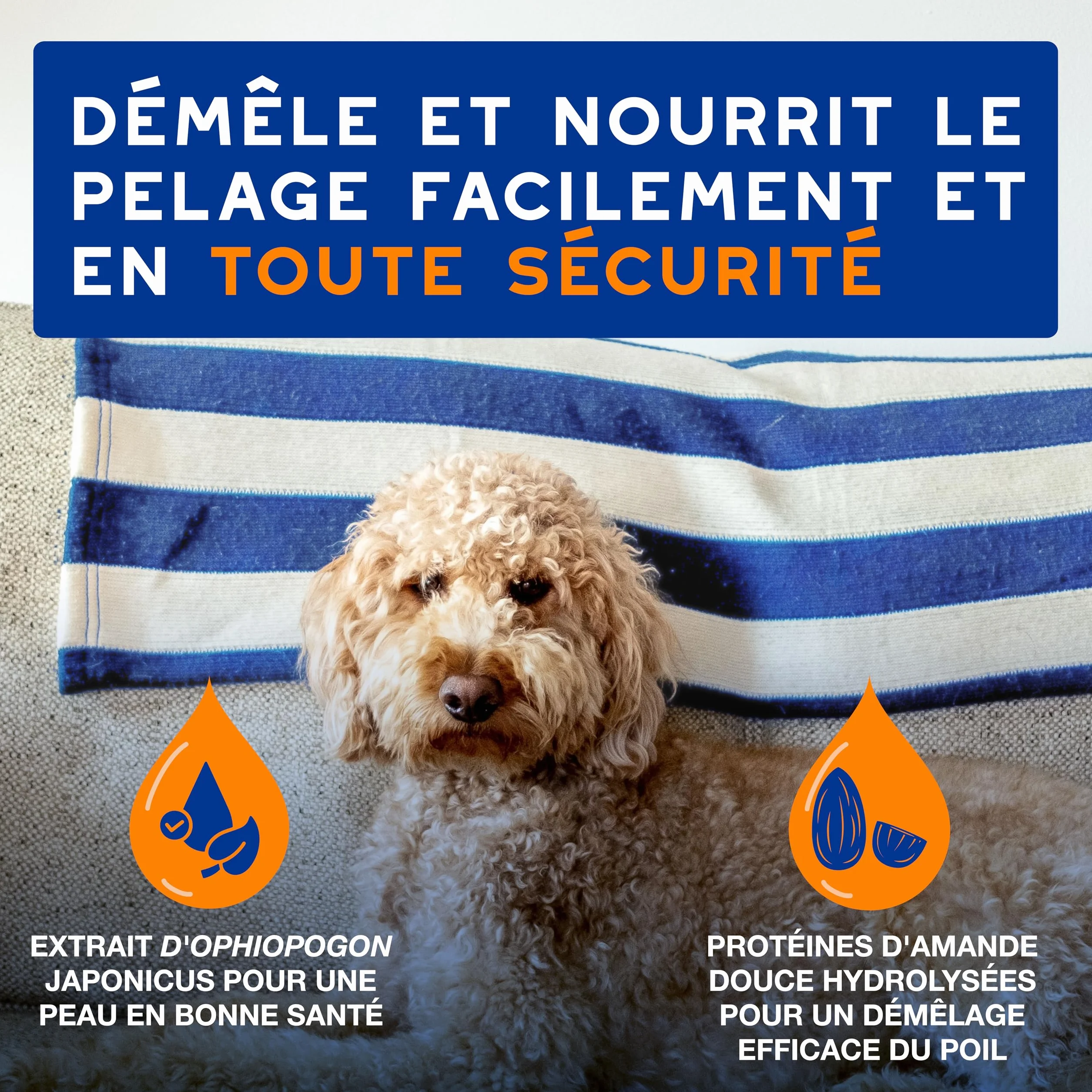 DOUXO Skin & Coat Spa - Ultra-Safe Spray démêlant pour Chiens, 340mL, démêle et nourrit Le Pelage en Toute sécurité, Laisse Le Pelage Doux, Soyeux et sans Noeuds, Formule respectueuse de la Peau.