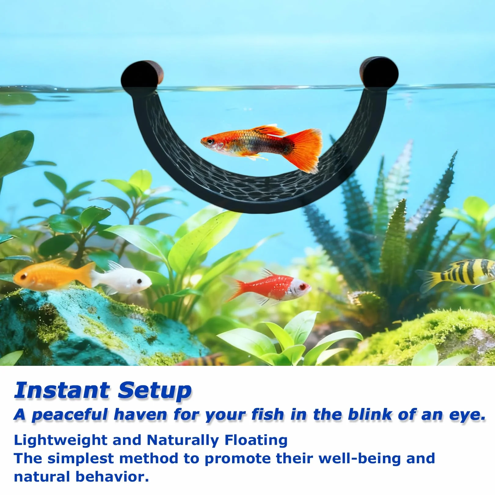 Hamac Flottant pour Poisson Combattant - Cachette Naturelle en Filet, Repos