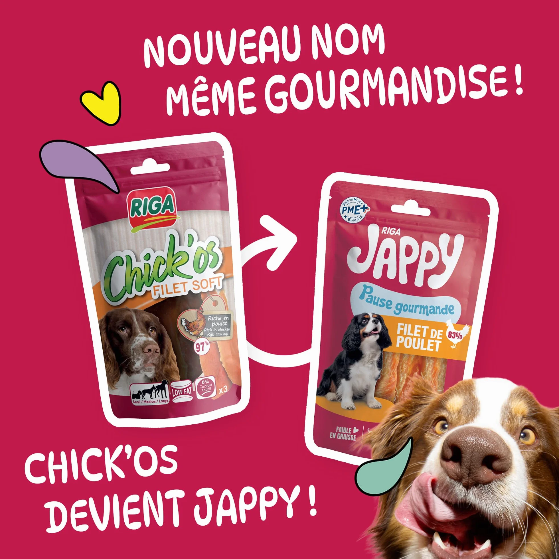 Jappy Filet de Poulet + Mini Stick Friandise Chien Riche En Poulet Protéines Collagène 65 g