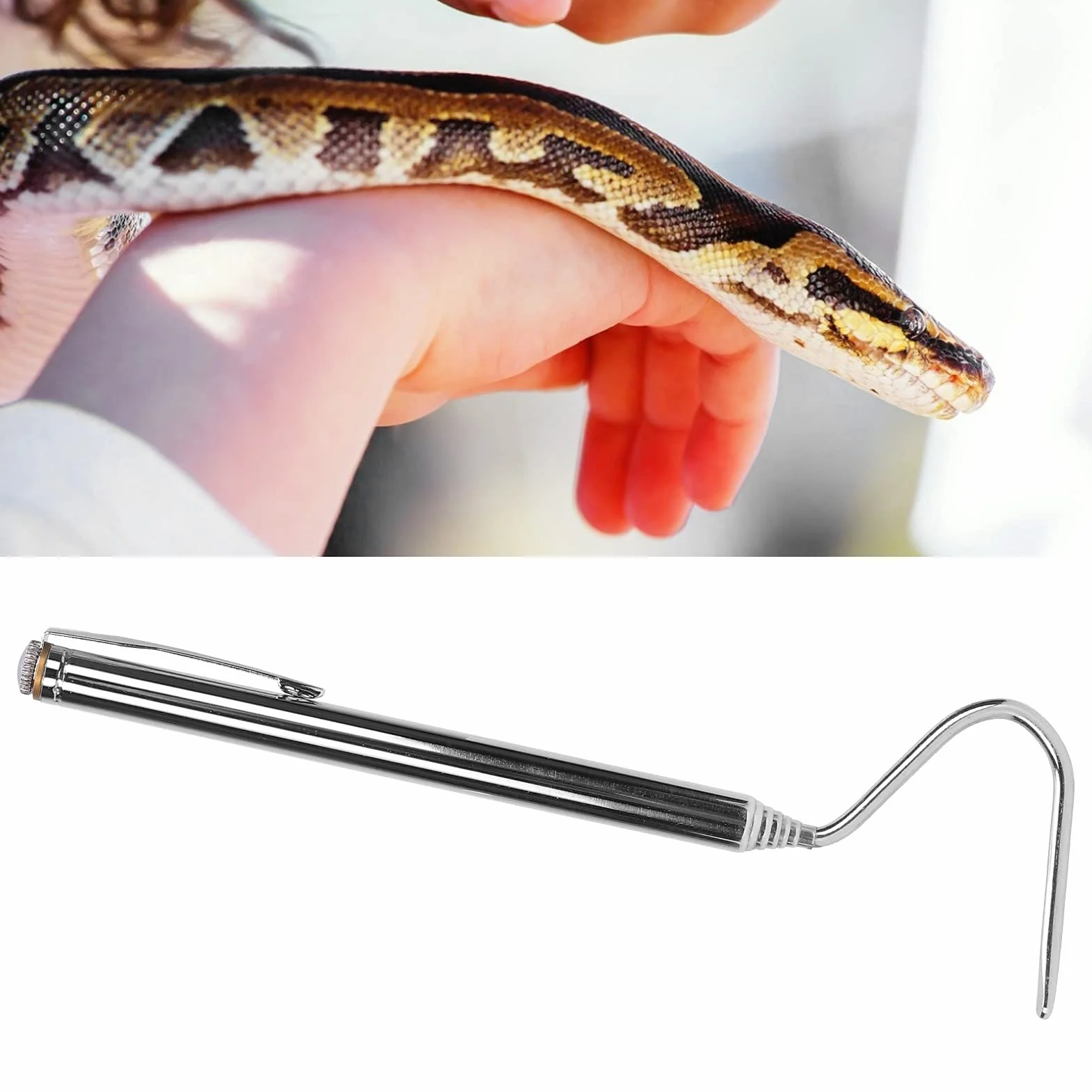 Pinces à Serpents Robustes, Outil de Capture de Reptiles à Long Manche