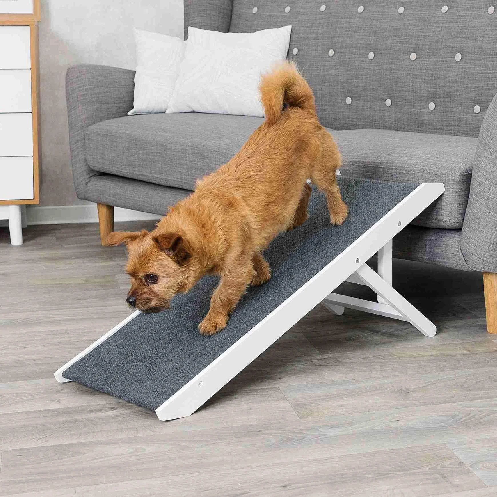 Trixie Rampe pour Chien, Blanc, 36cm X 90cm pour Chien