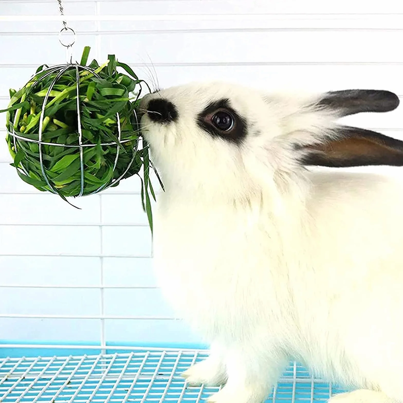Distributeur de Foin avec Crochet Réglable Boule Mangeoire pour Lapin - Diamètre 8 cm