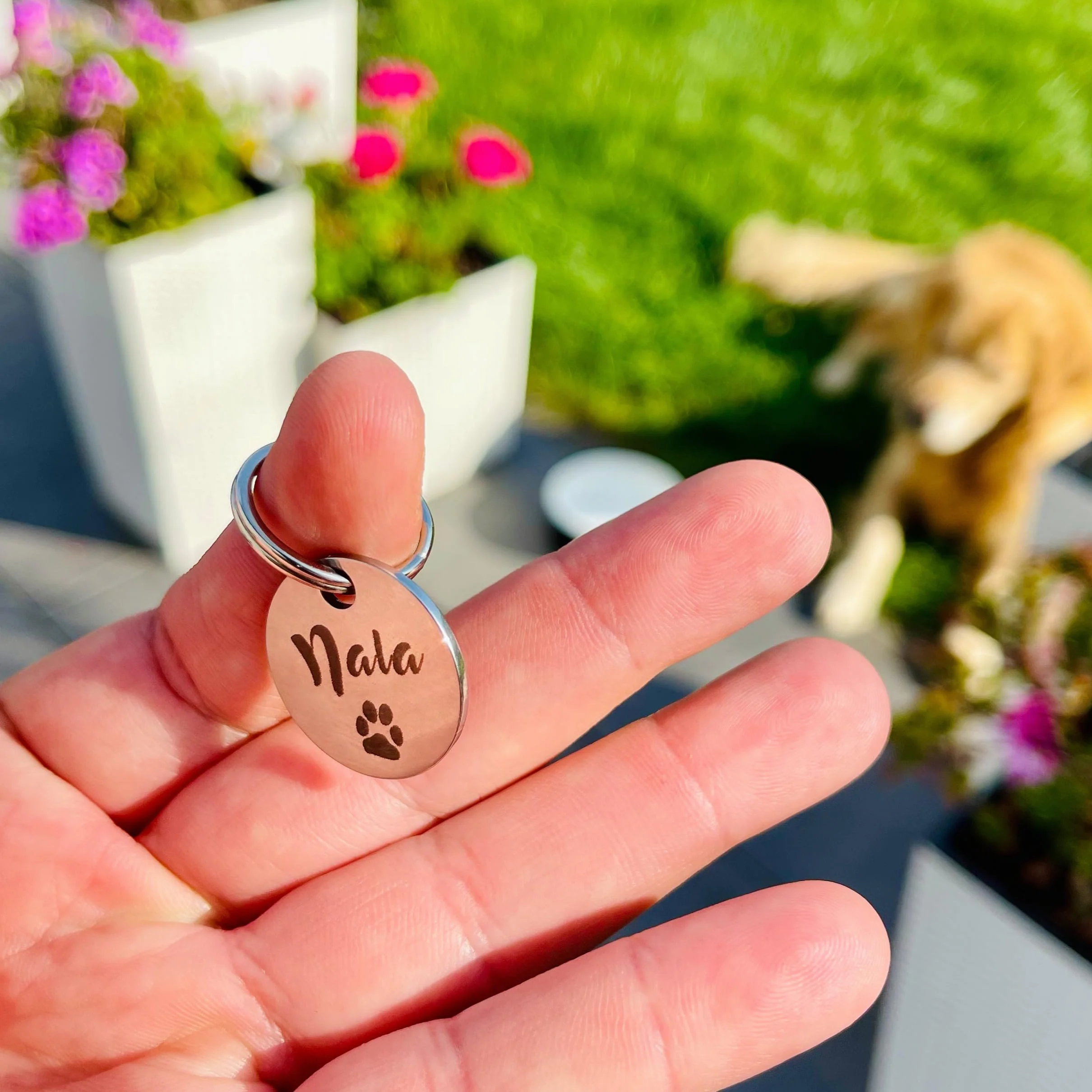 Médaille d’identification personnalisée pour chien en acier inoxydable avec gravure du nom, numéro de téléphone, adresse et date – pour Noël et anniversaire