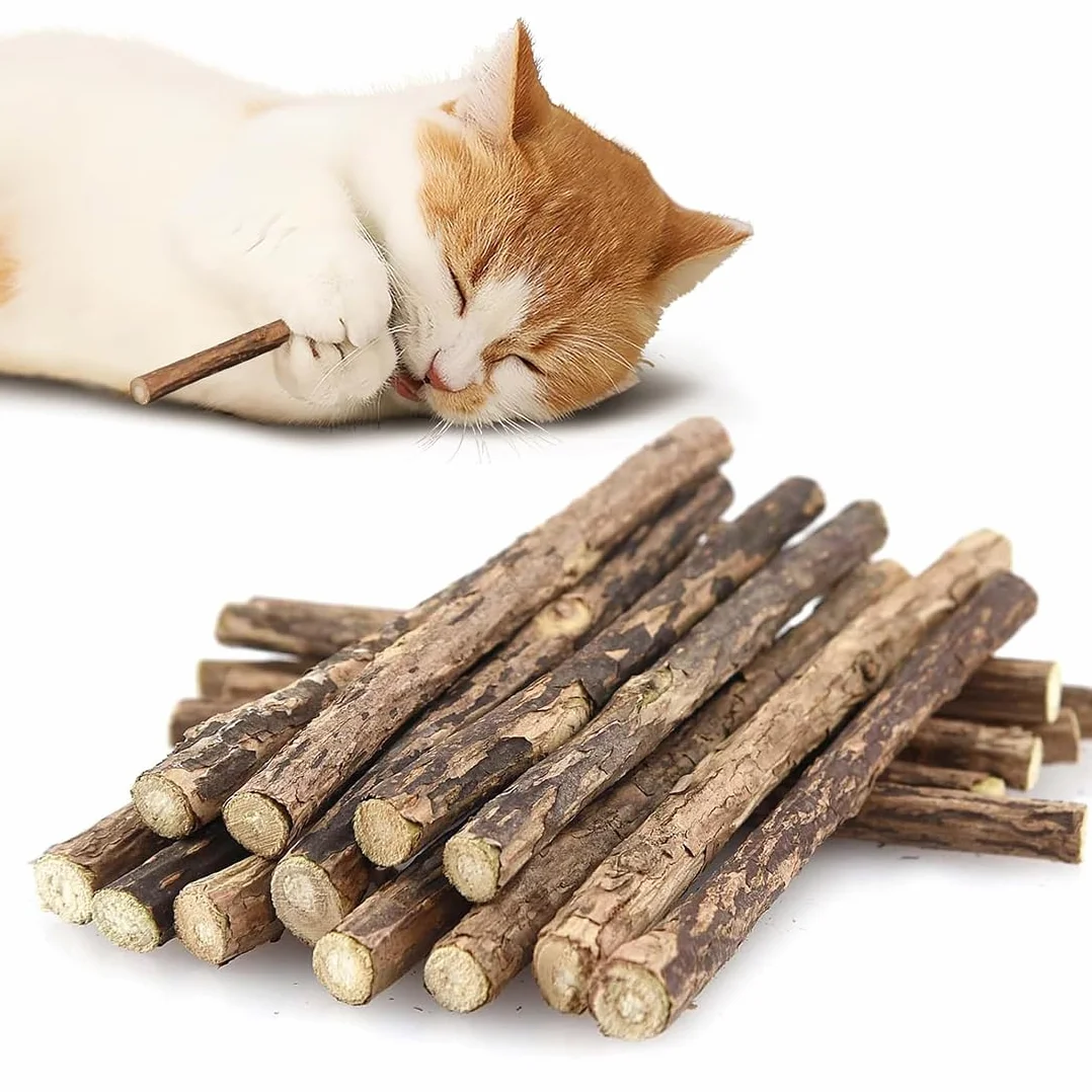 Bâtonnets Dentaires Pour Chats, Jouet À Mâcher En Bois, Hygiène Dentaire, Taille 0.6cm, Marron