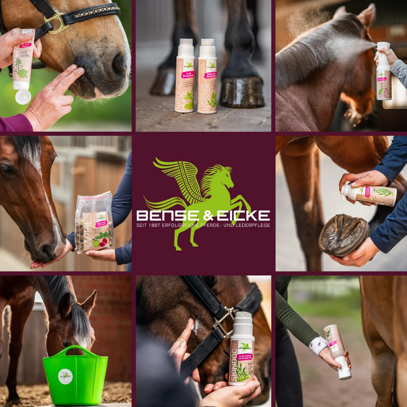 Bense & Eicke Hufteer Goudron de bois de hêtre 1 kg pour l'entretien des sabots, protection contre l'humidité, la saleté et les bactéries, fabriqué en Allemagne