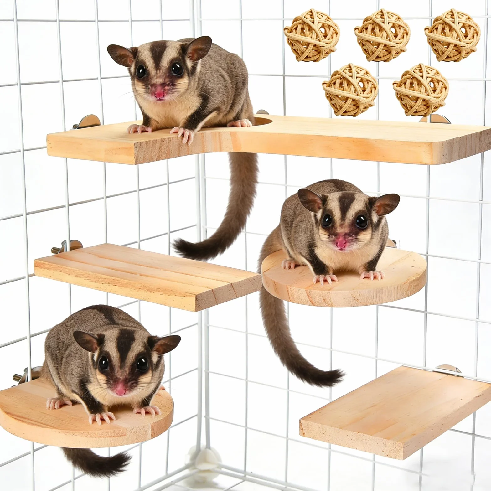 Lot de 10 accessoires pour hamster en bois, jouets pour hamster, plate-forme pour petits animaux, avec planche à sauter, surfaces rectangulaires rondes et 5 balles pour cochons d'Inde, chinchilla