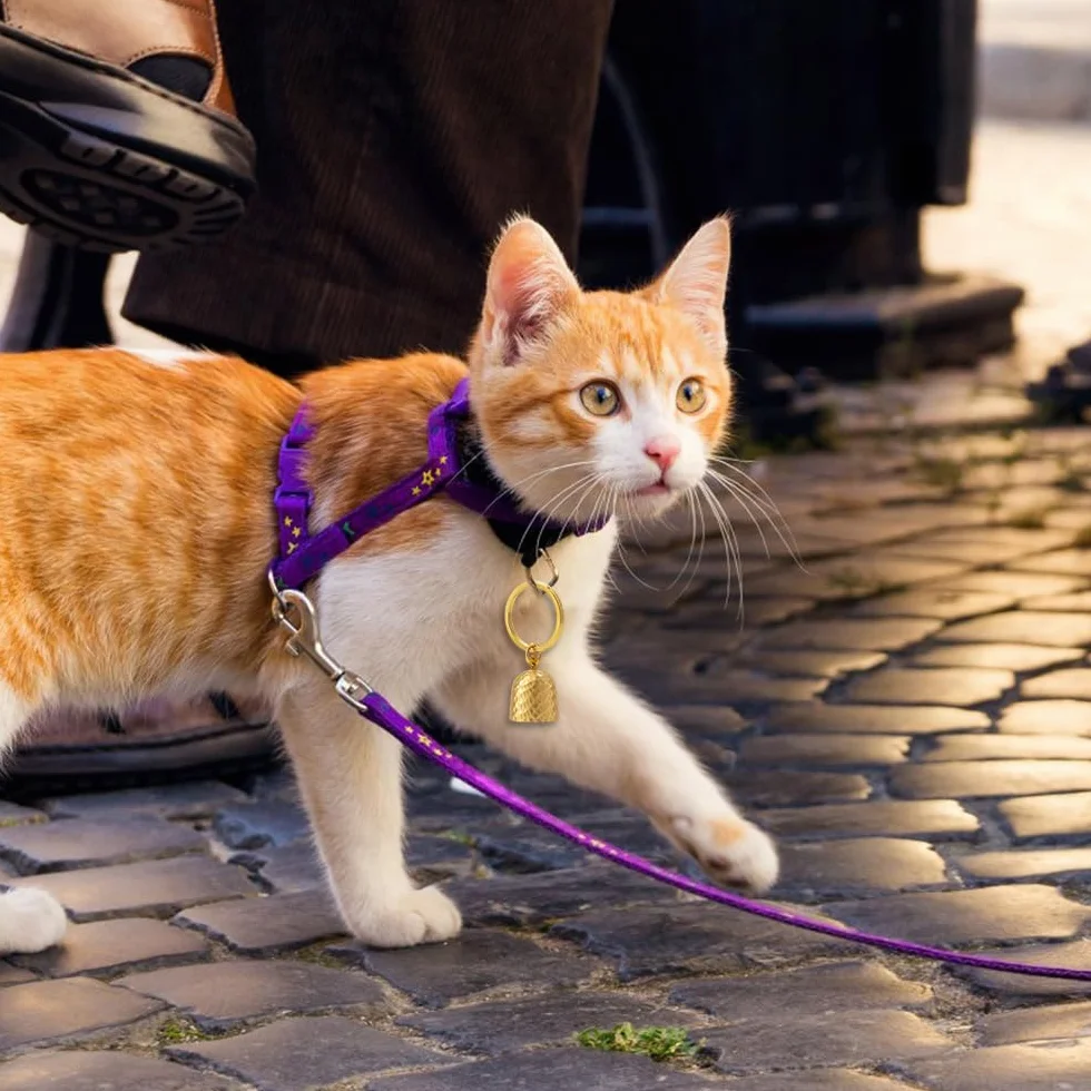 Cloche à Breloques pour Collier Chat, Clochette en Cuivre pour Animaux avec Boucle de Suspension