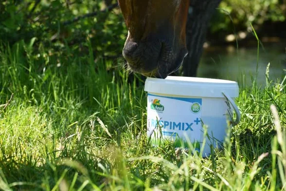 Respimix Aliment Complémentaire Équin 100% Bio Confort Respiratoire Mélange d'Herbes Séchées Cheval Poney Âne sans Céréales ni Mélasse