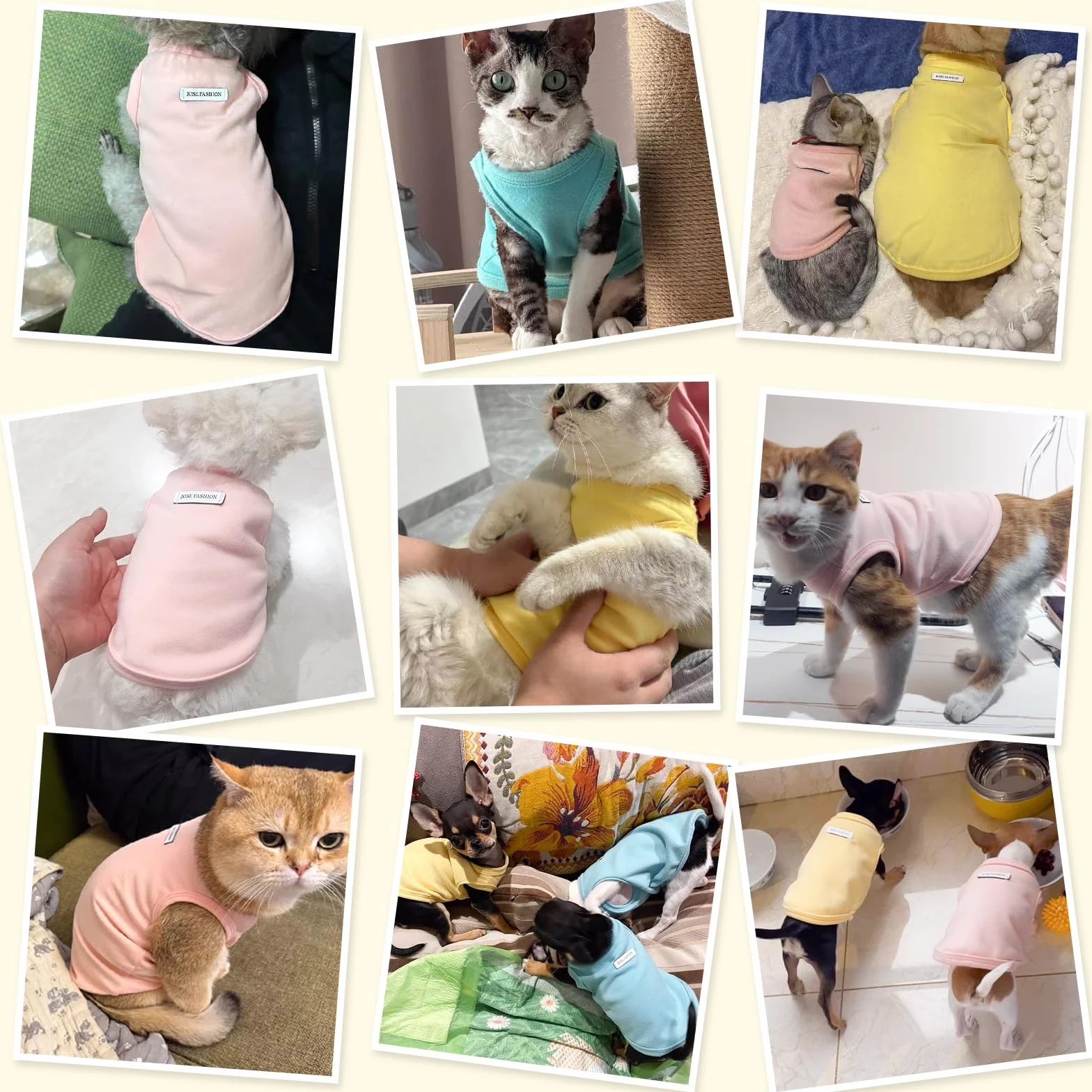 Lot de 4 Chemises d'été sans Manches pour Chien - T-Shirt coloré Respirant pour Petite et Moyenne Taille