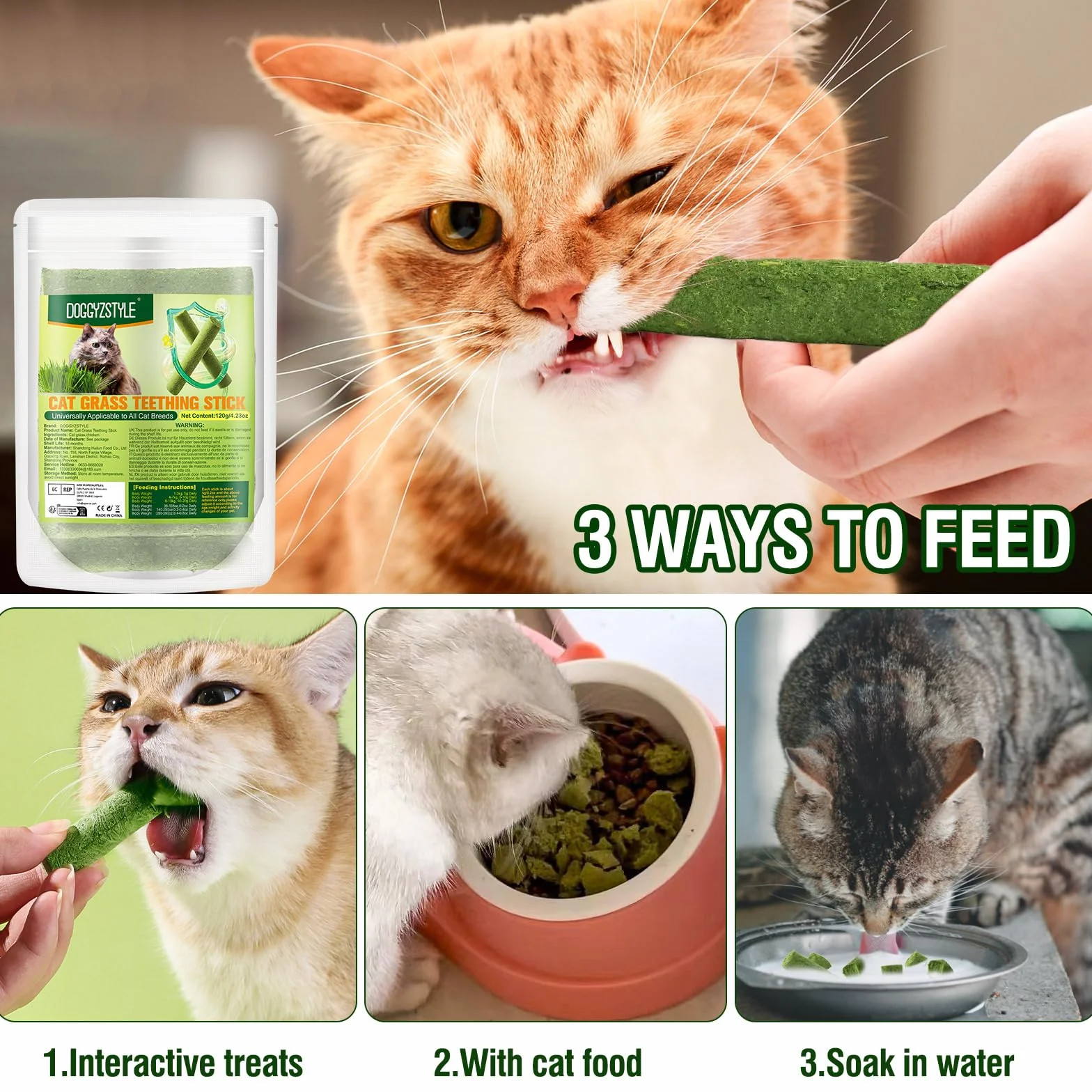 Herbe À Chat Bâton De Dentition 120g Jouet À Mâcher pour Chat