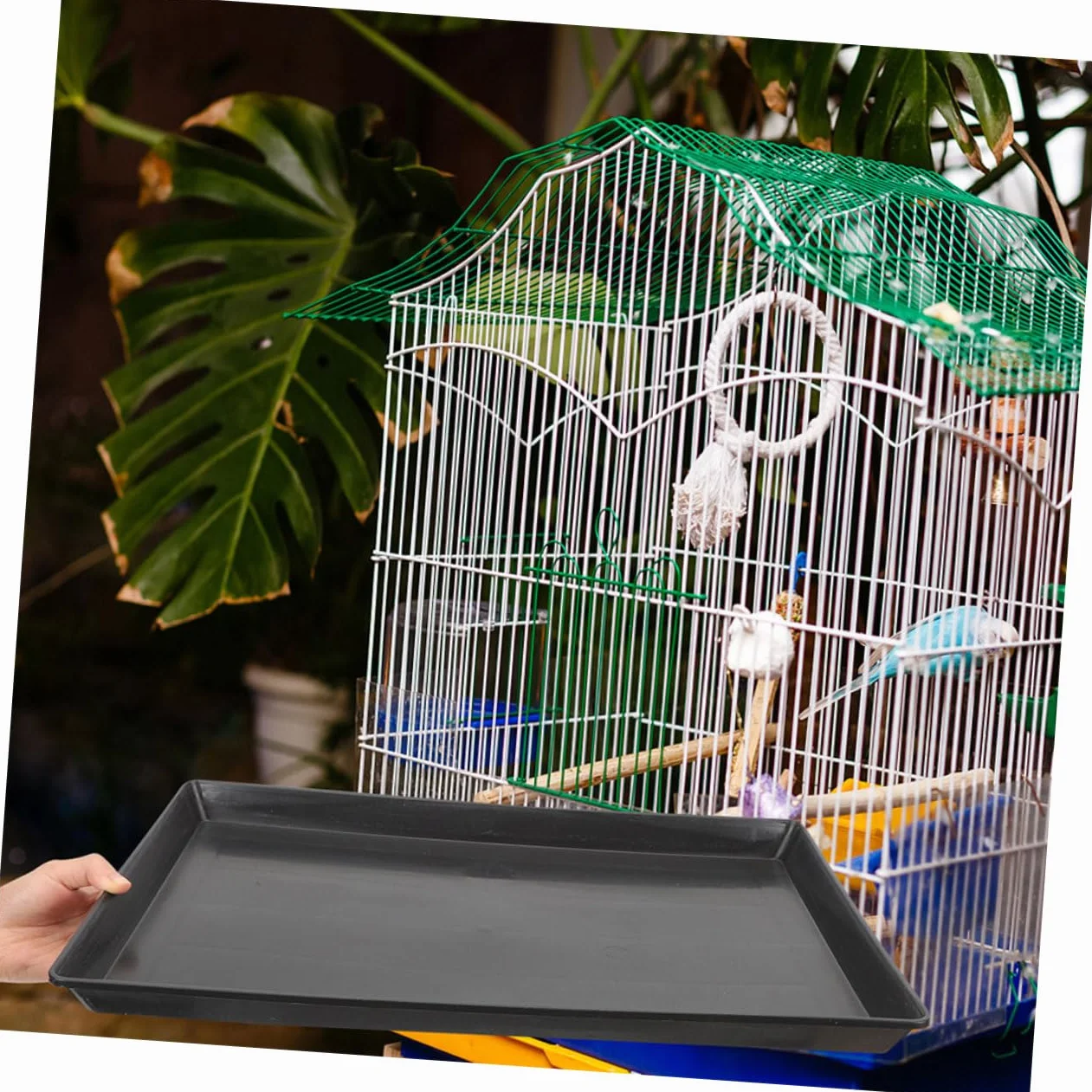 Plateau Plastique Étanche Remplacement Fond de Cage pour Chien Oiseau