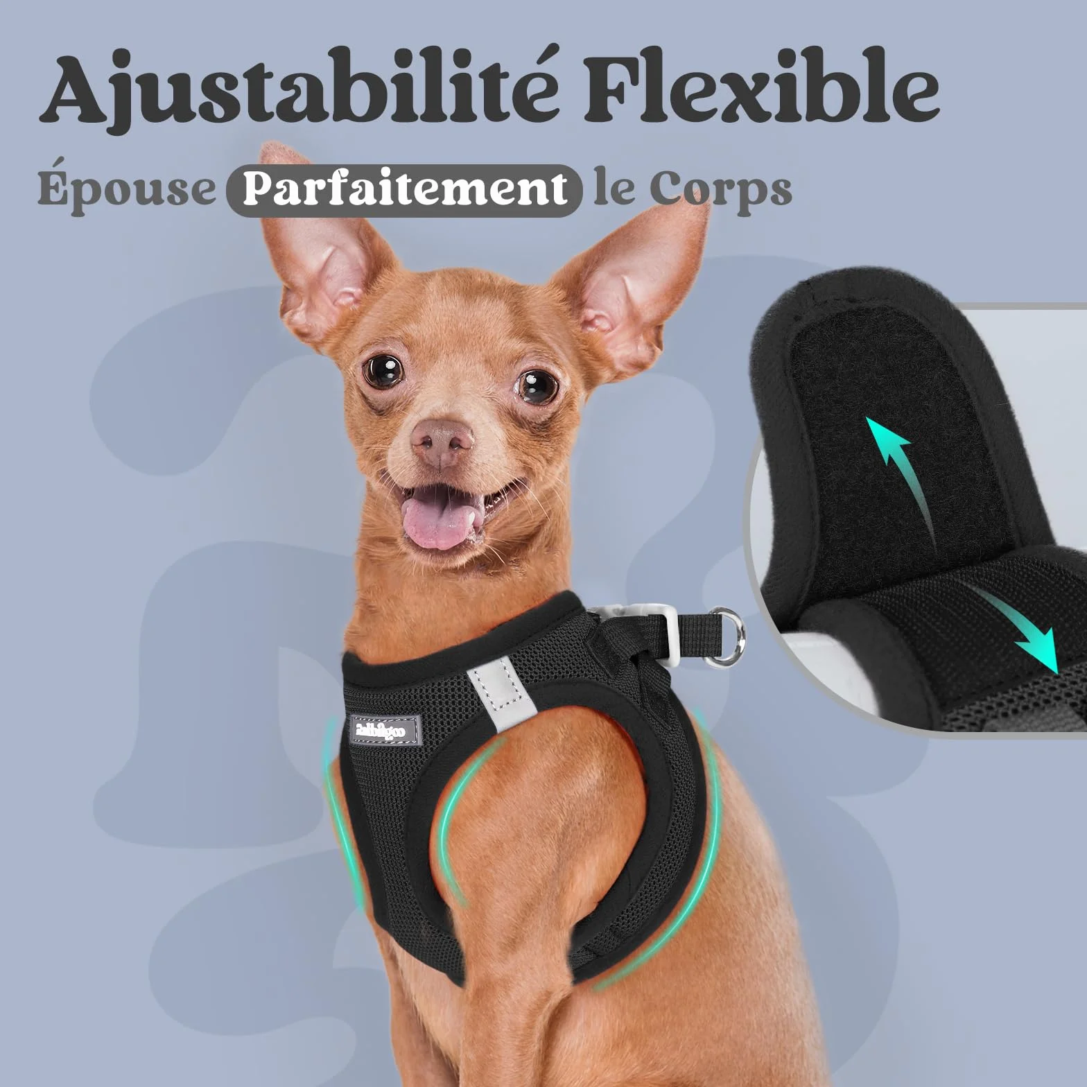 Rabbitgoo Harnais Chien Petite Taille Noir S, Harnais Respirant en Maille Souple Réfléchissant pour Petit Chien Marche Course