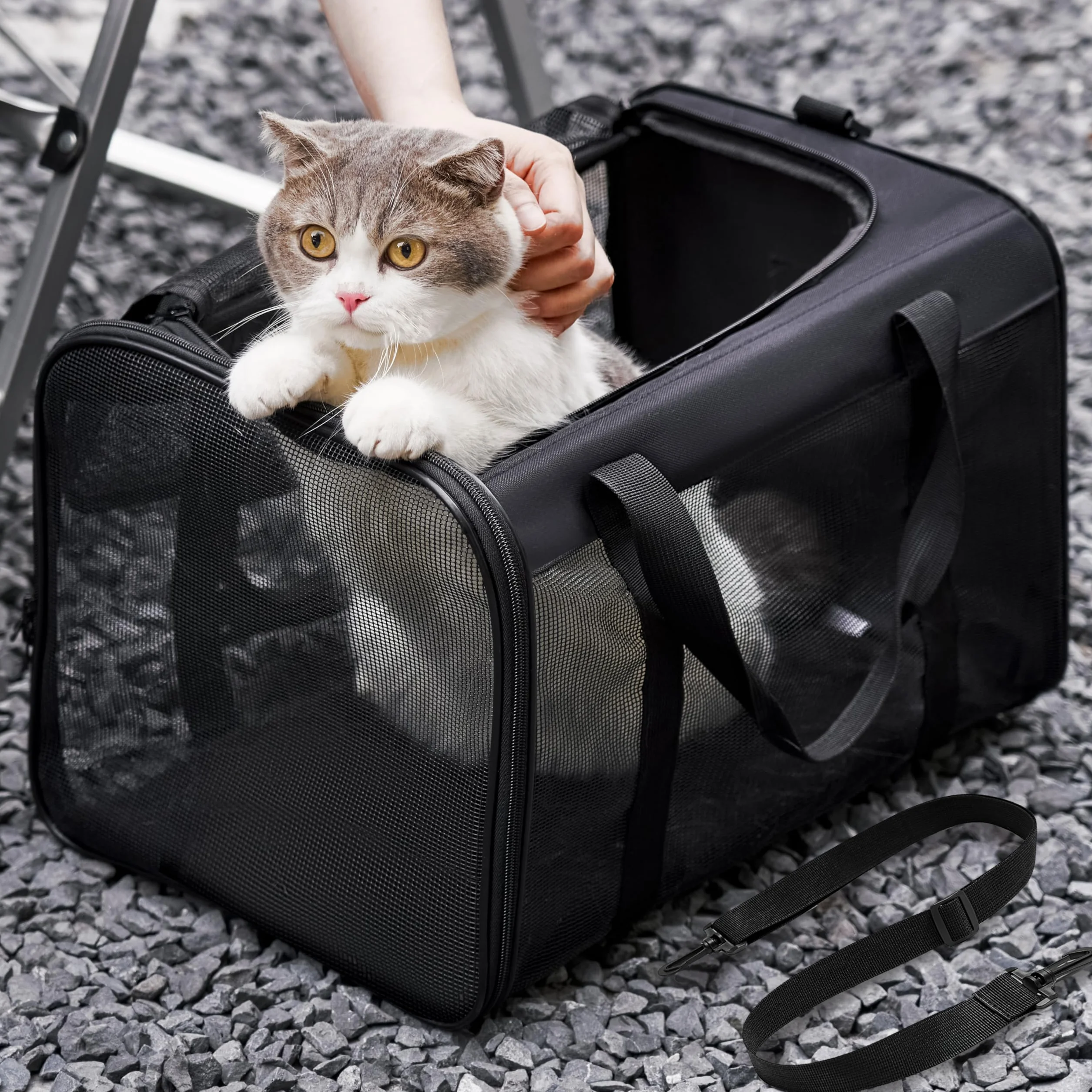 Sac Transport Chat Voyage Approuvé Compagnies Aériennes pour Chien Chat Chiot Jusqu'à 6 Kg Pliable Noir