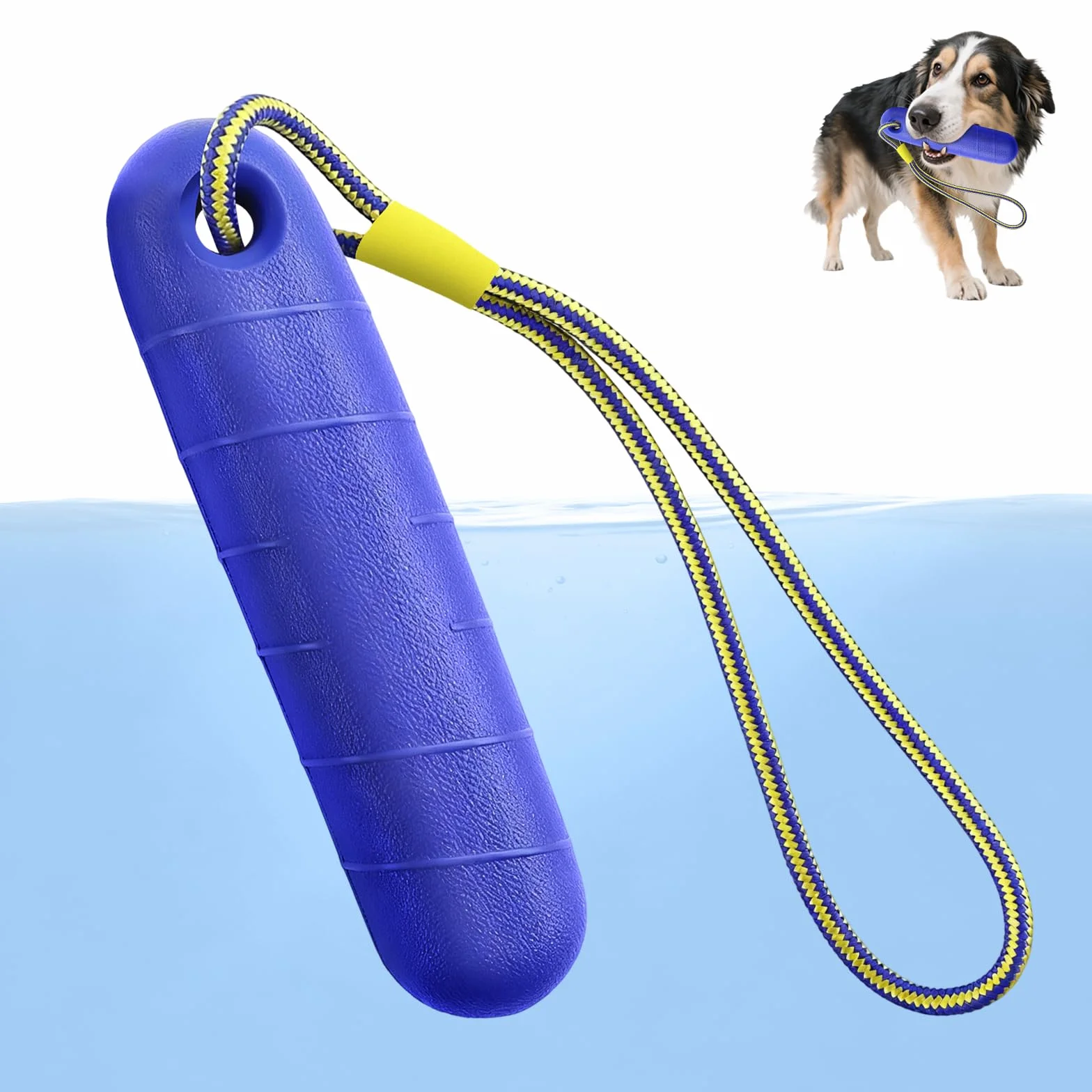 Jouet Interactif Chien avec Corde en Nylon, Ballon Flottant Increvable pour Piscine Extérieur