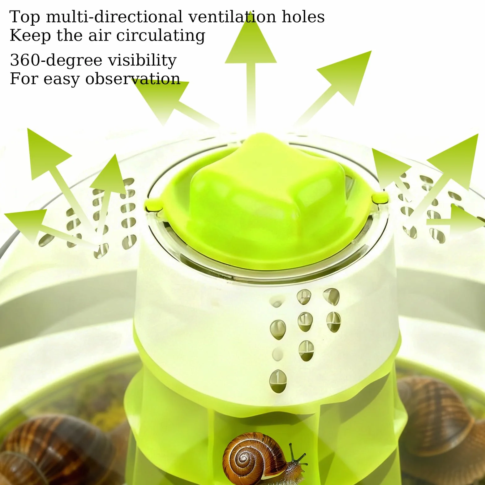 Kit de terrarium pour escargots - Boîte d'élevage d'observation pour mantes priantes, araignées, coccinelles