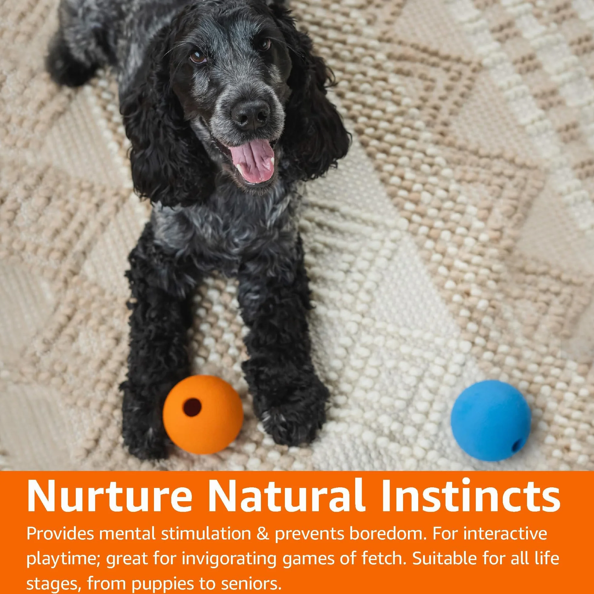 Amazon Basics Balles à Lancer en Caoutchouc pour Chien, 7.62 cm, Lot de 2, Bleu, Orange