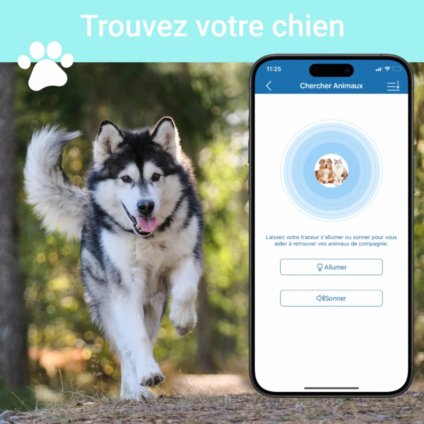 Collier GPS 4G TK919 Pro pour Chien Traceur Anti-Fugue Étanche Moniteur d'Activité