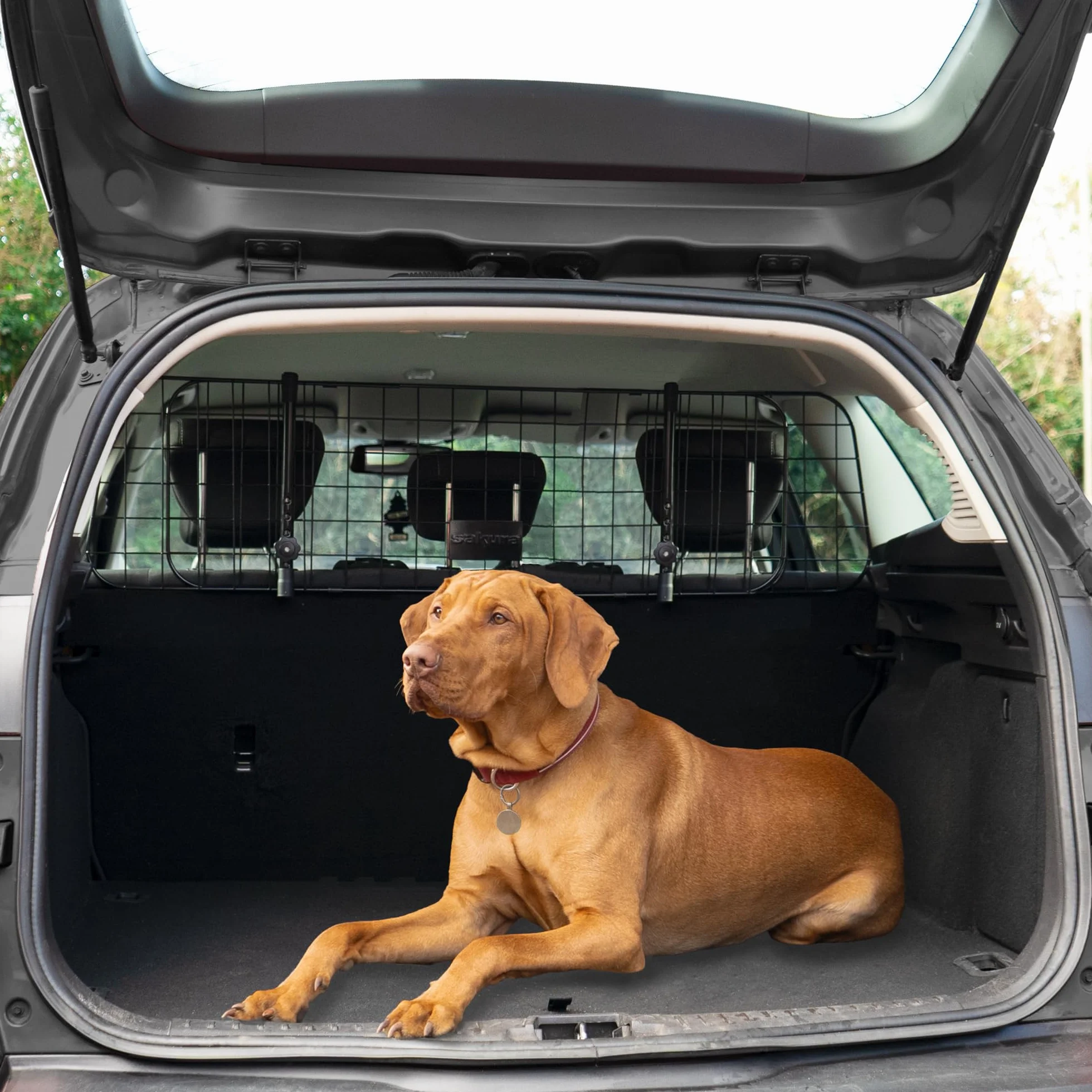 Sakura SS5259 Barrière de Sécurité d’Appuie-Tête de Voiture pour Chiens - Facile à Installer Sur la Plupart des Voitures Berlines, SUV, Voitures Familiales, Monospaces – Largeur Réglable Sans Outils