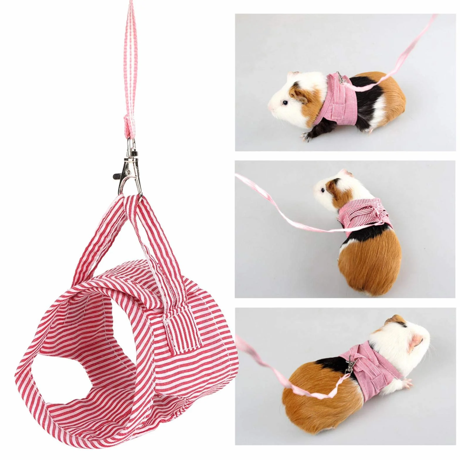 Harnais et Laisse pour Cochon d'Inde, Petits Animaux, Rouge, Taille S