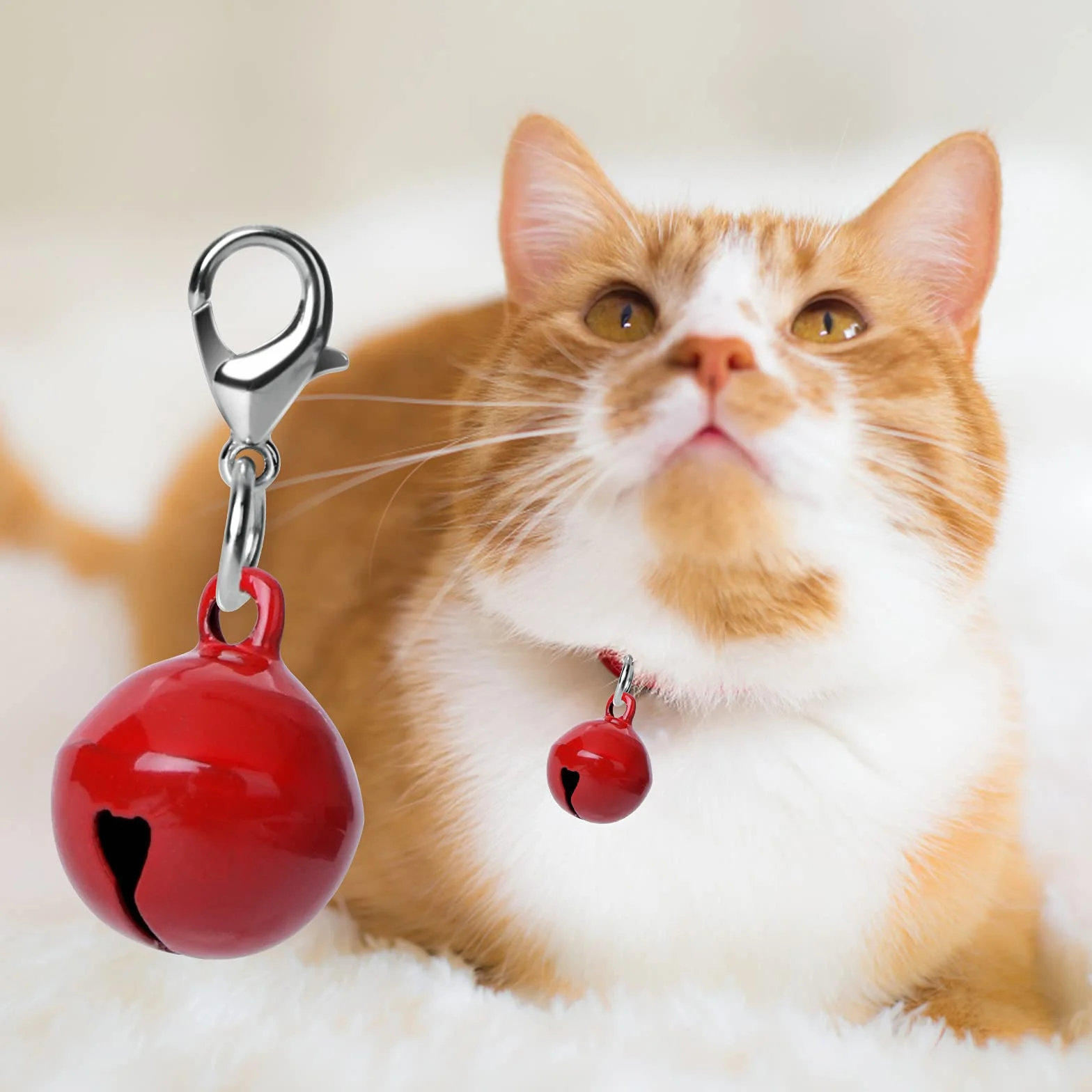 Molain Lot de 10 clochettes colorées pour collier chat chien, avec fermoirs, accessoires animaux