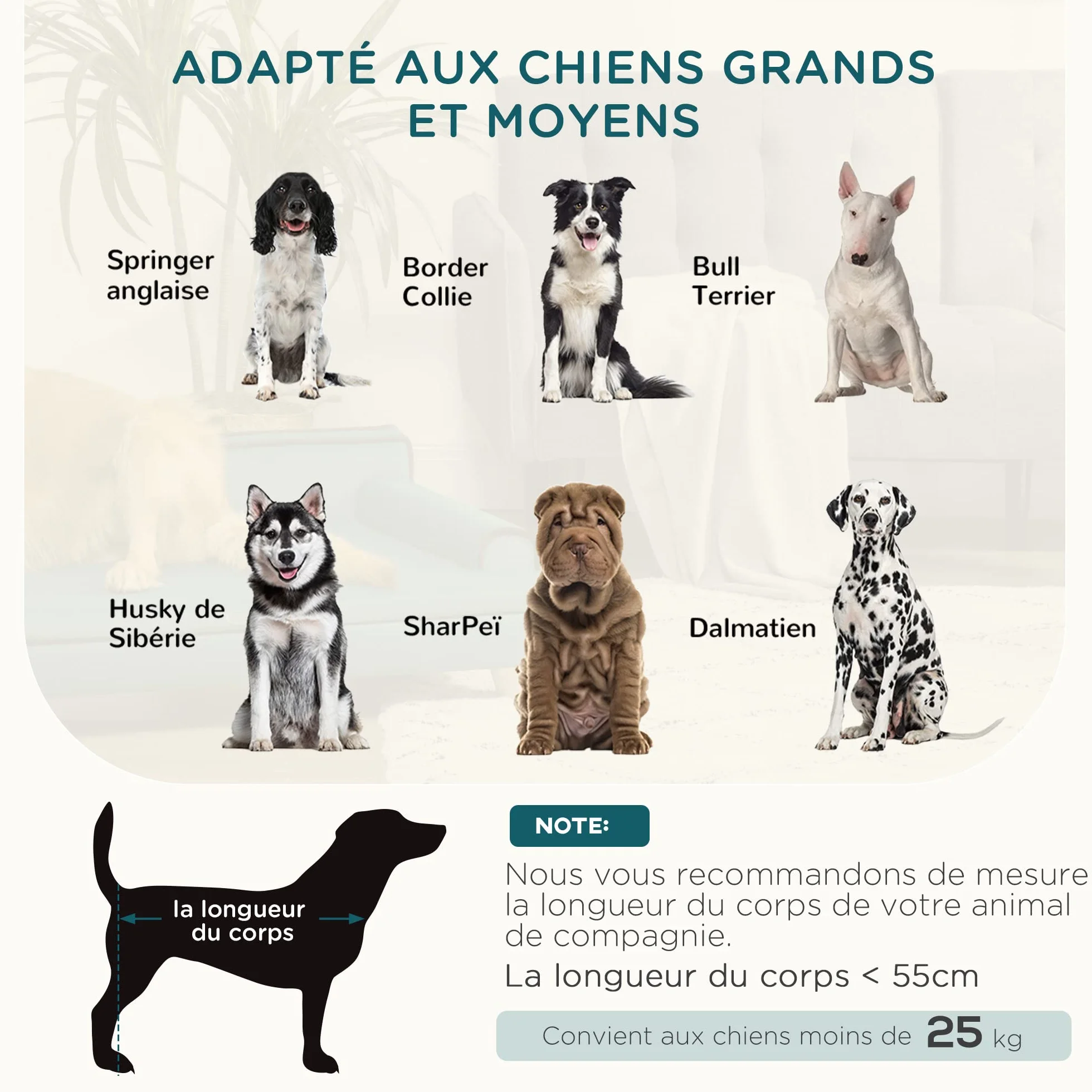 PawHut Canapé pour Chien Chat Design scandinave 100 x 62 x 32 cm Bleu Canard