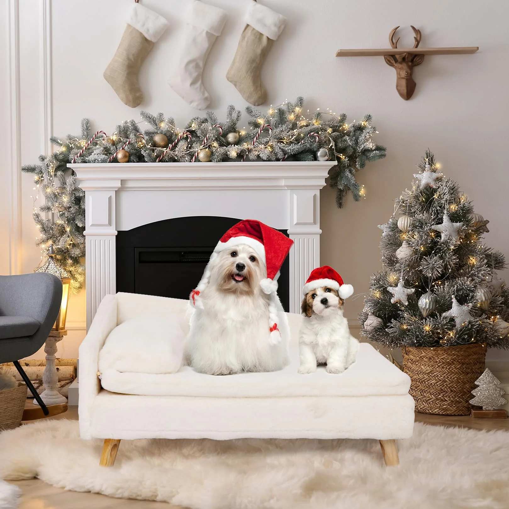 BingoPaw Canapé pour Chien Petite Taille, Lit Surélevé avec Coussin Lavable, 70.5x38x23.5cm