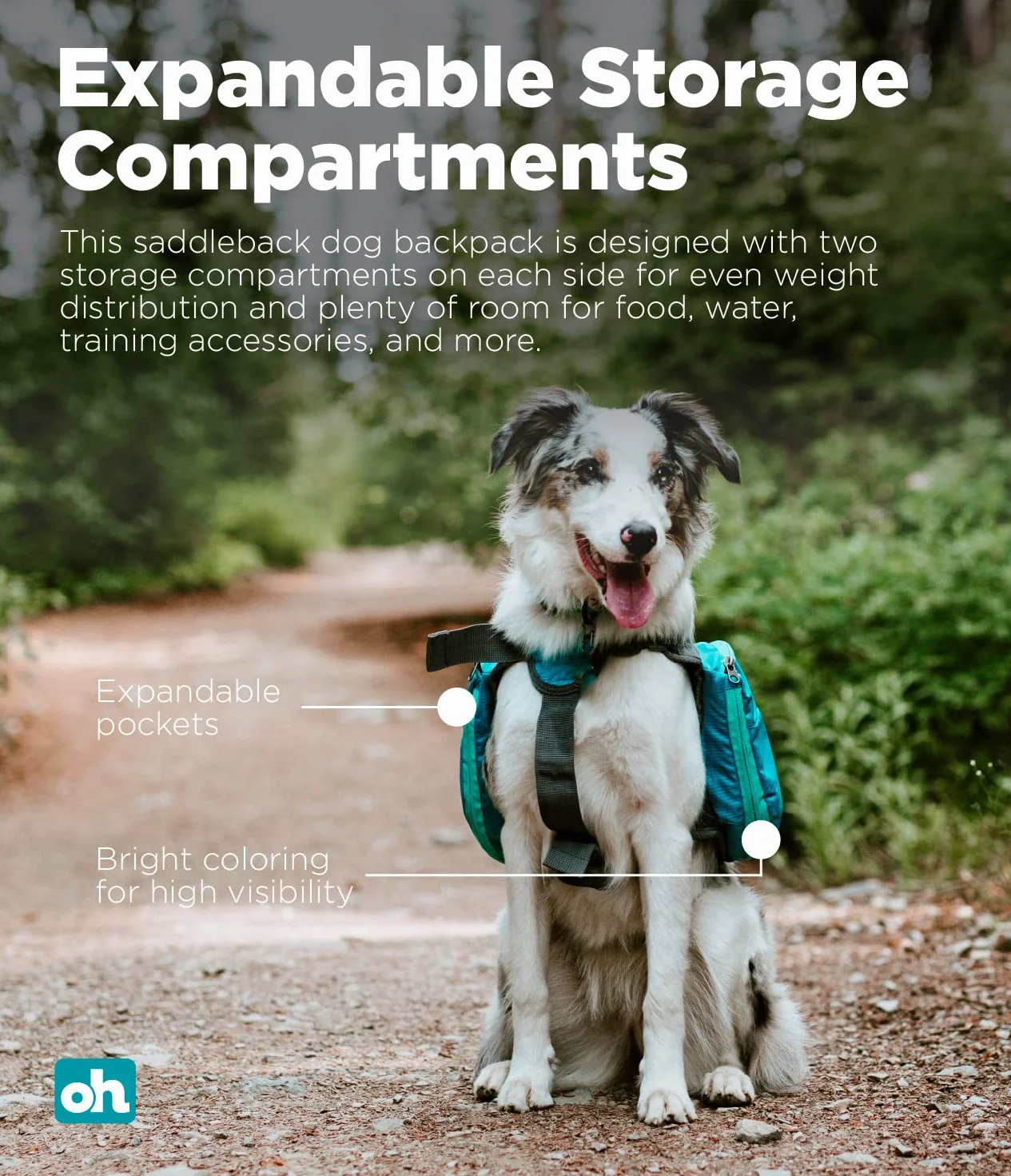 Outward Hound Daypak Sac à Dos pour Chien Grand Bleu